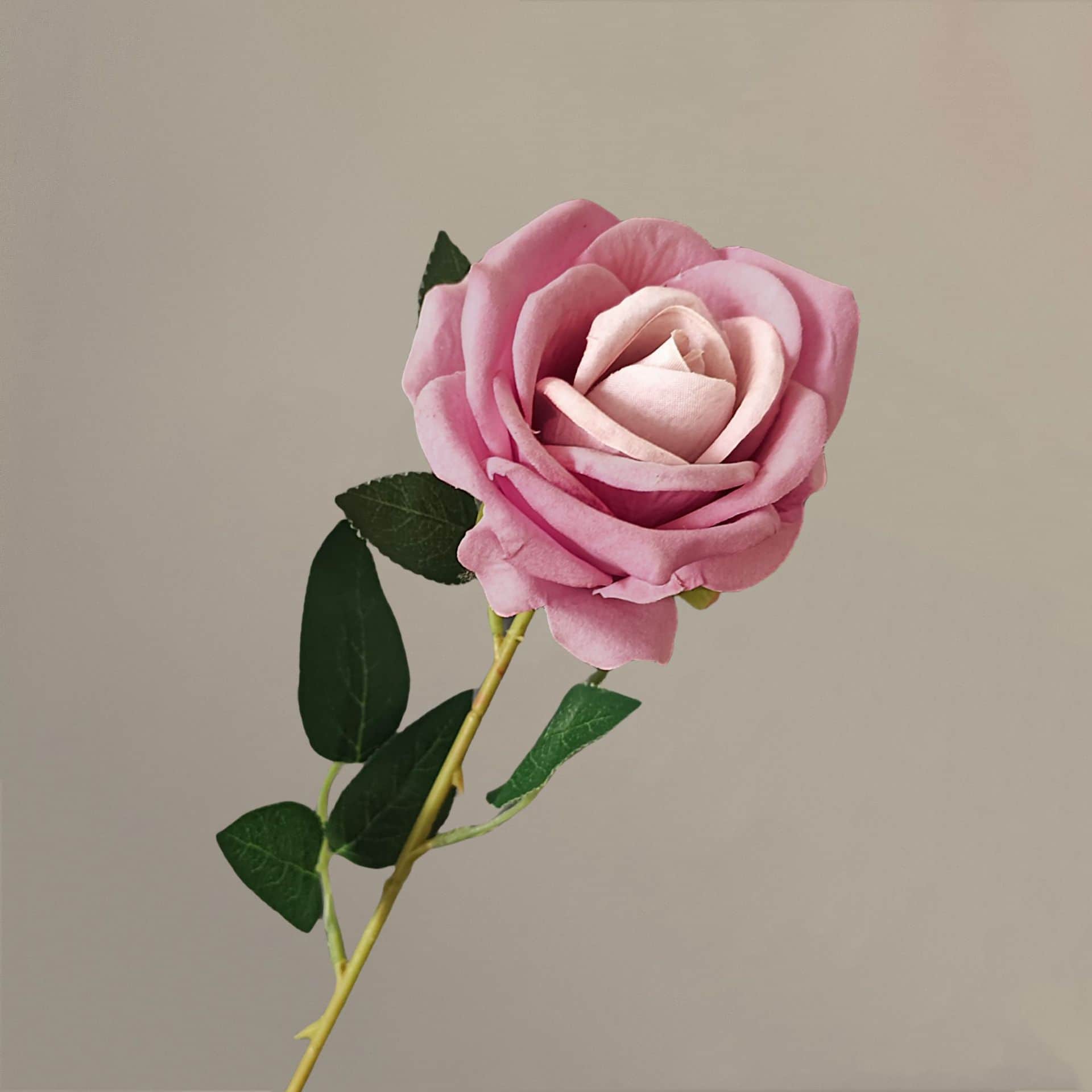 all kinds of wedding artificial rose velet rose bulk rose clearance terracotta wedding flowers