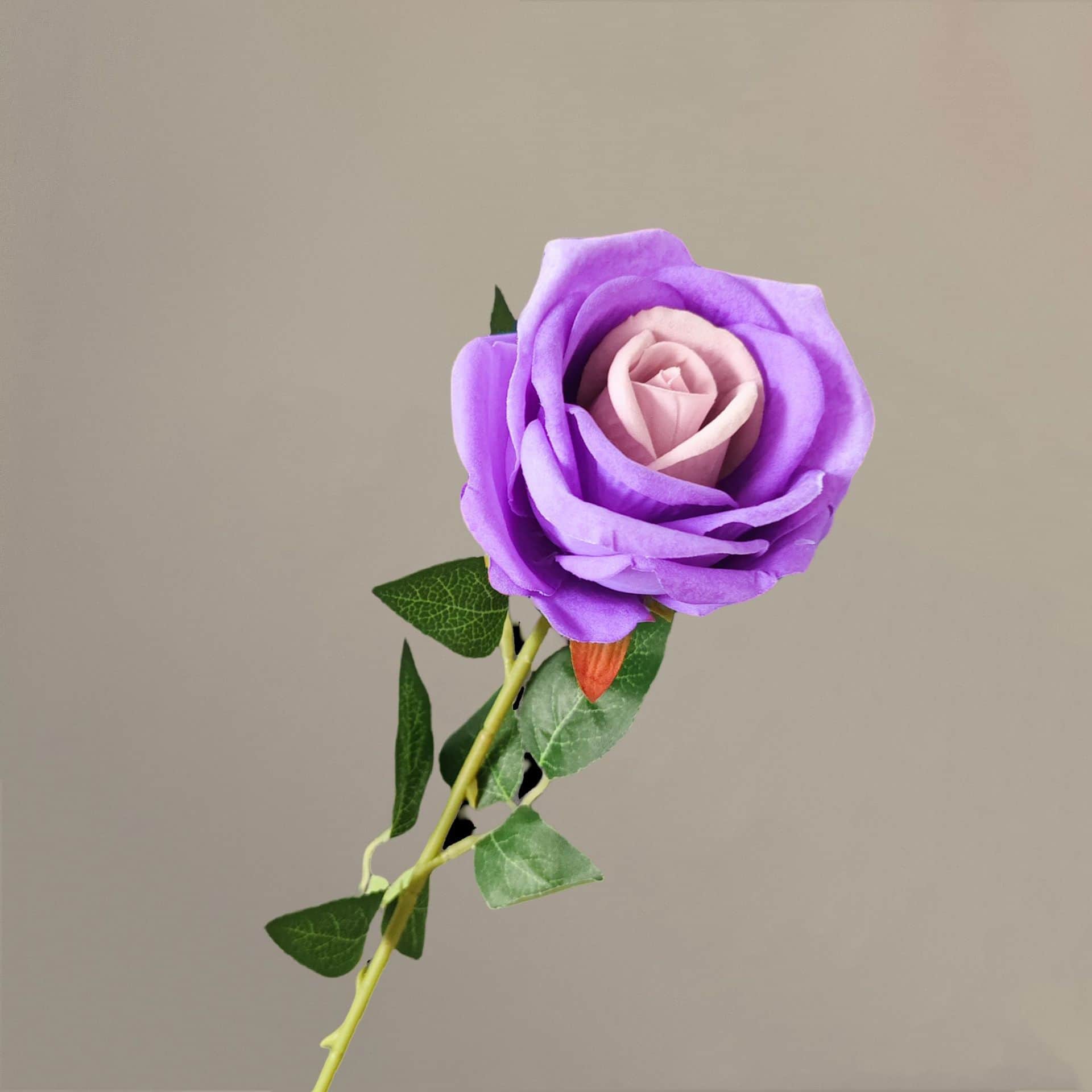 all kinds of wedding artificial rose velet rose bulk rose clearance terracotta wedding flowers
