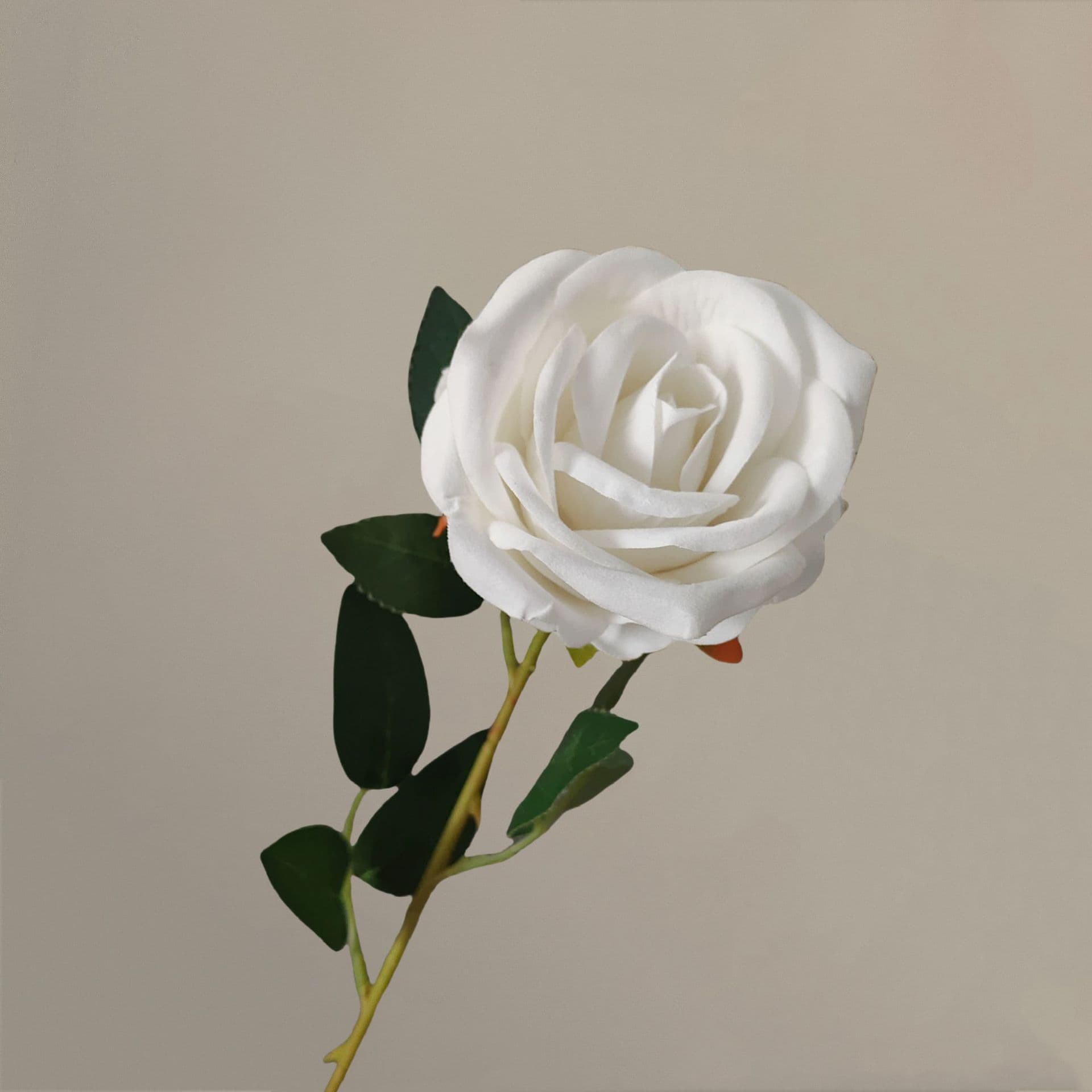 all kinds of wedding artificial rose velet rose bulk rose clearance terracotta wedding flowers