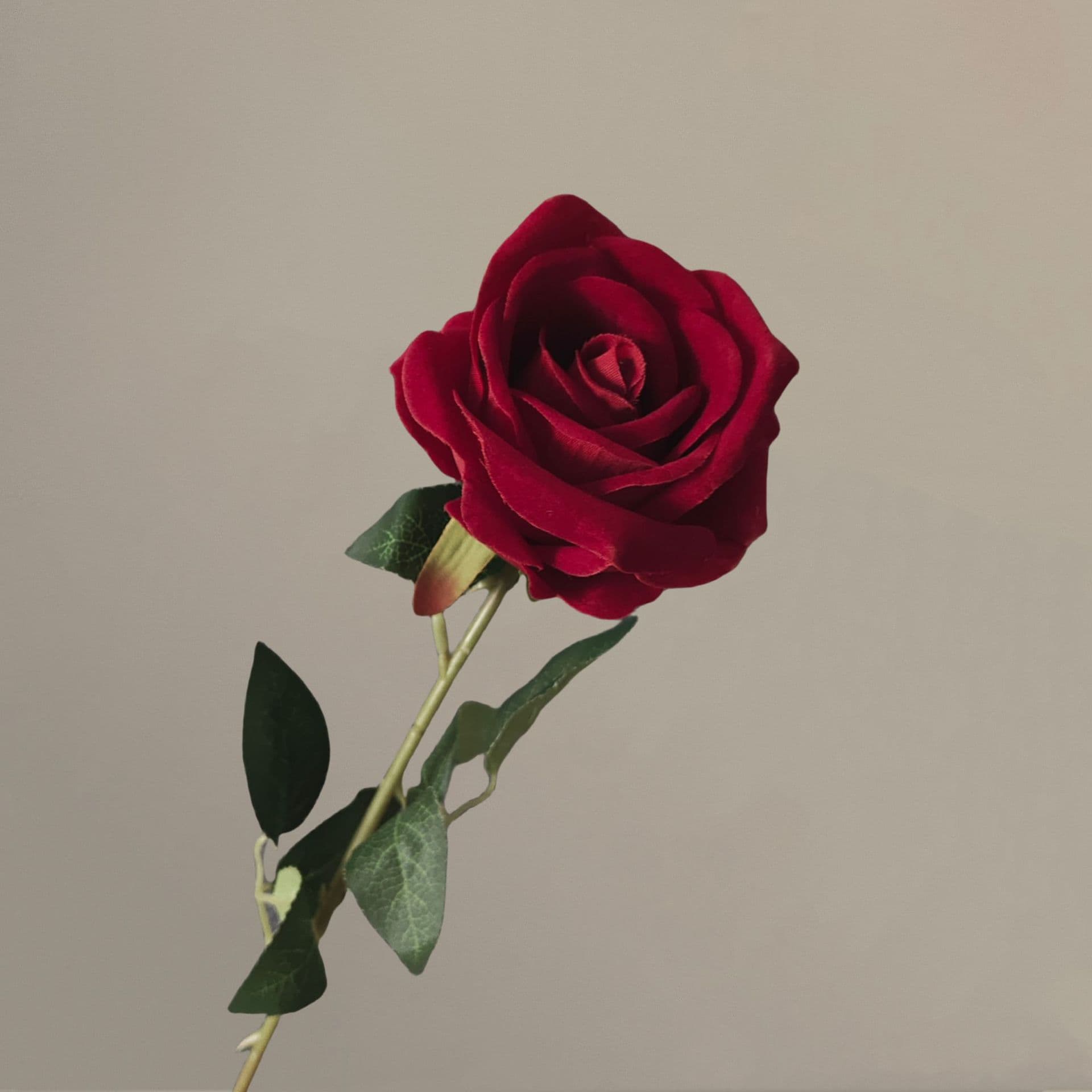 all kinds of wedding artificial rose velet rose bulk rose clearance terracotta wedding flowers