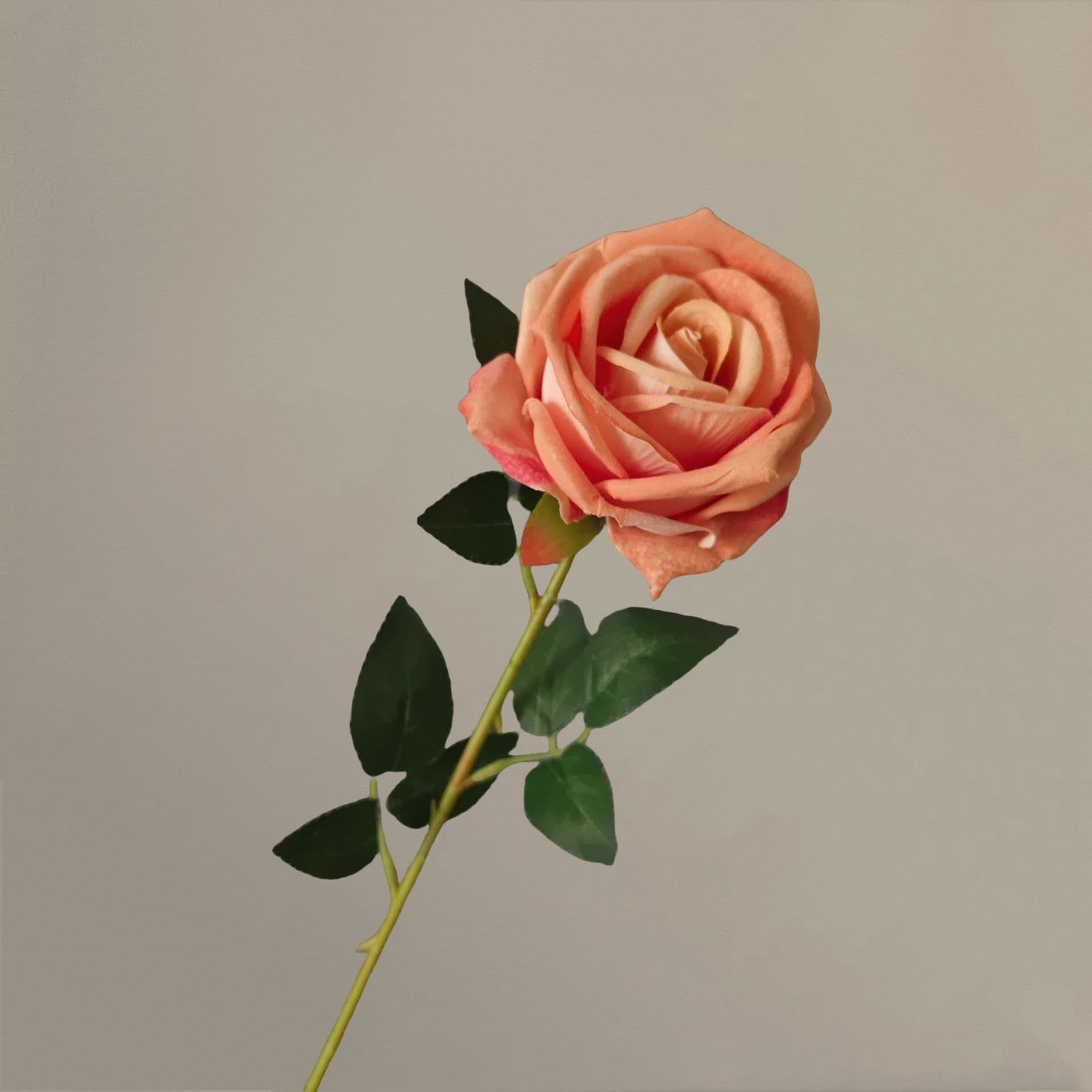 all kinds of wedding artificial rose velet rose bulk rose clearance terracotta wedding flowers