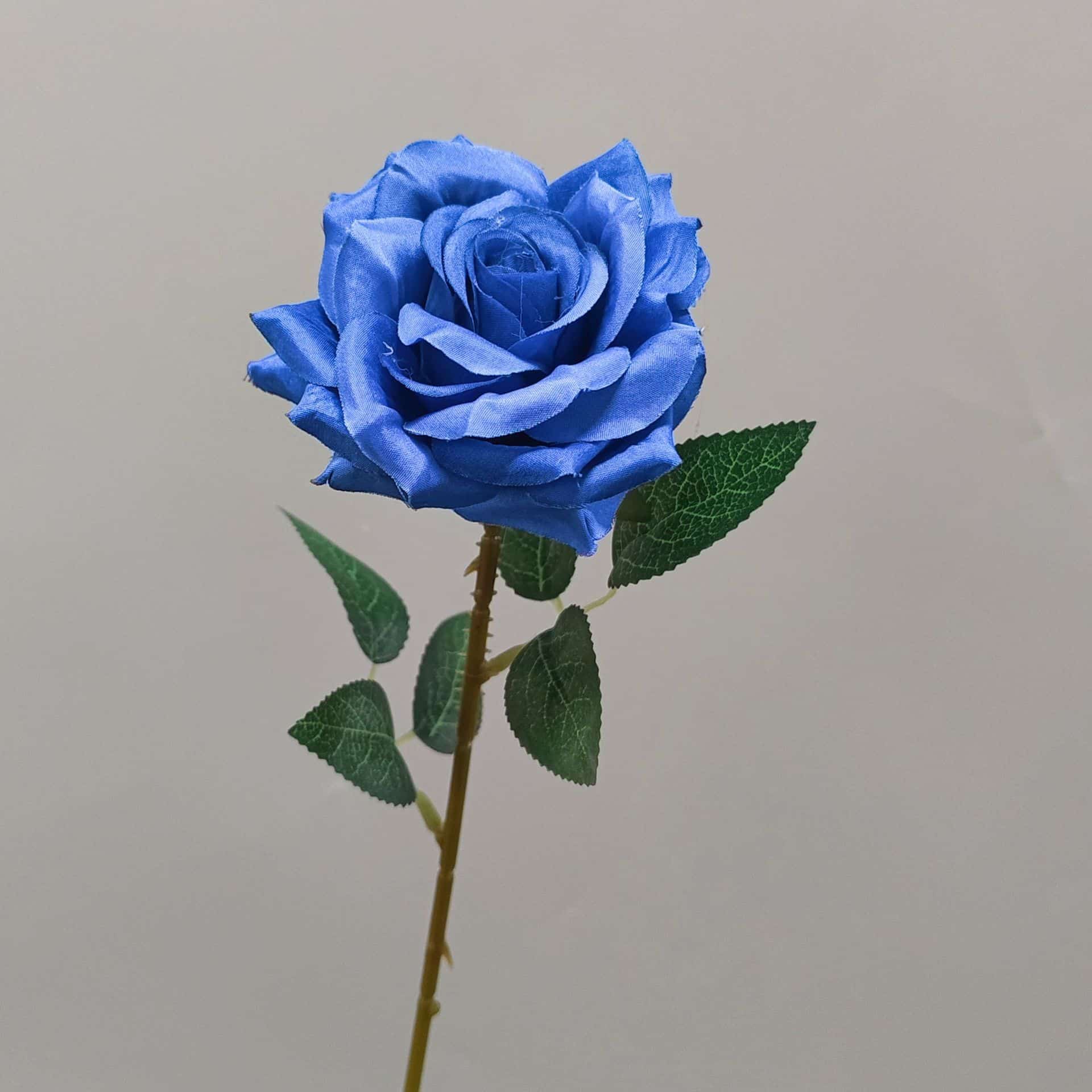 all kinds of wedding artificial rose velet rose bulk rose clearance terracotta wedding flowers