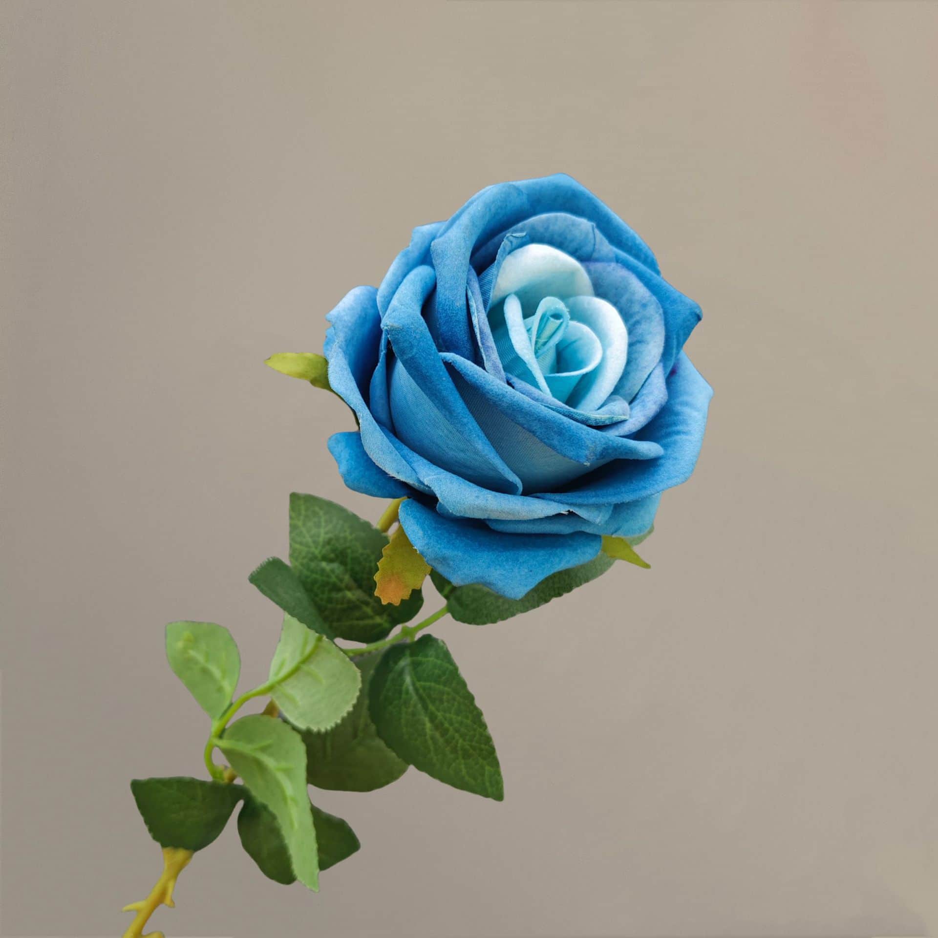 all kinds of wedding artificial rose velet rose bulk rose clearance terracotta wedding flowers