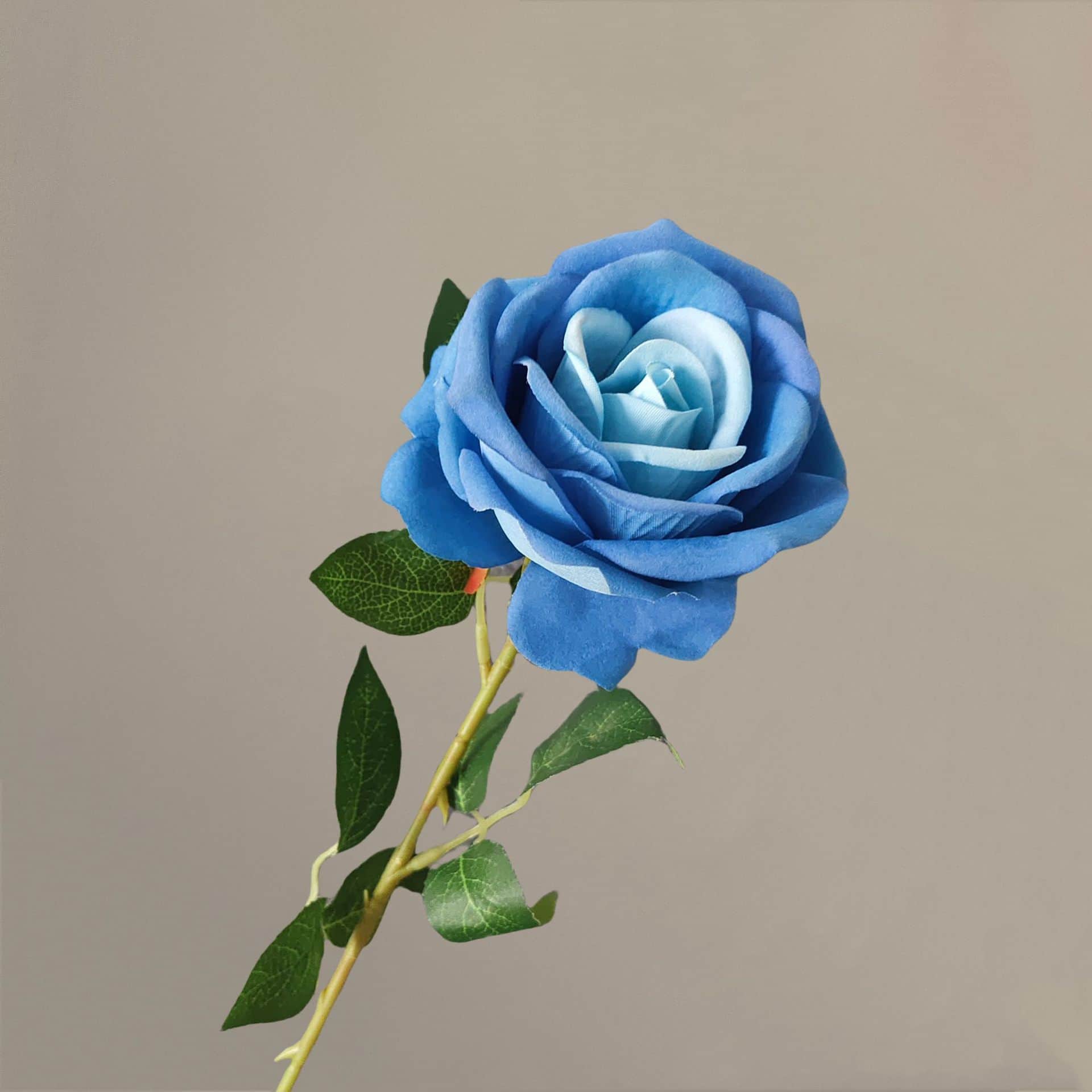 all kinds of wedding artificial rose velet rose bulk rose clearance terracotta wedding flowers