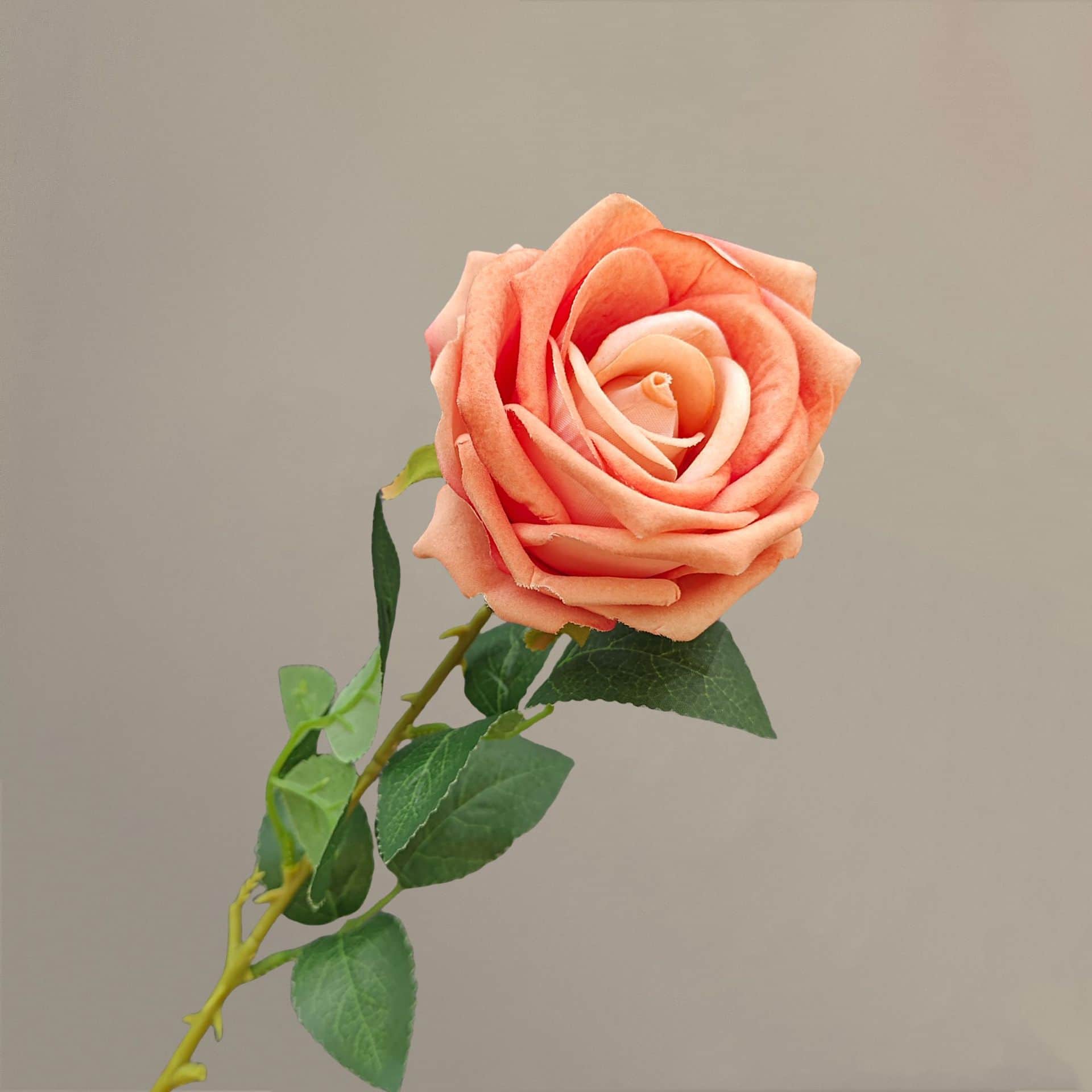 all kinds of wedding artificial rose velet rose bulk rose clearance terracotta wedding flowers