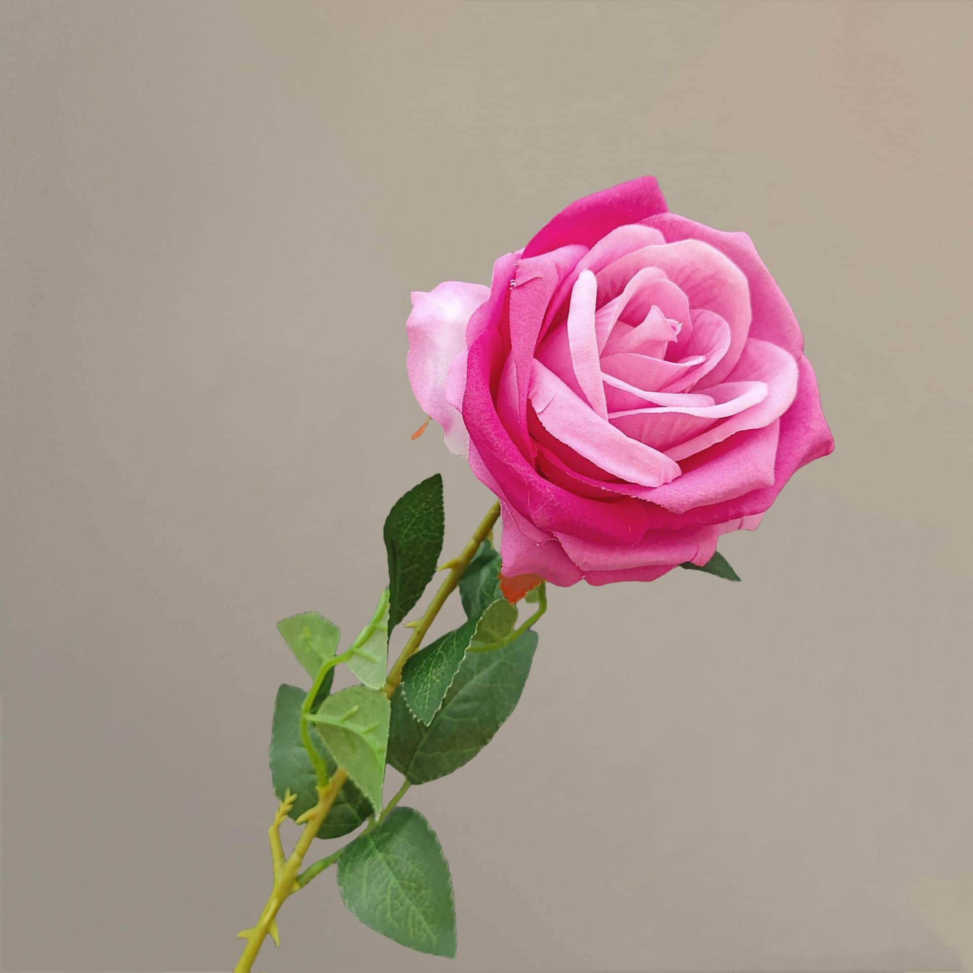 all kinds of wedding artificial rose velet rose bulk rose clearance terracotta wedding flowers