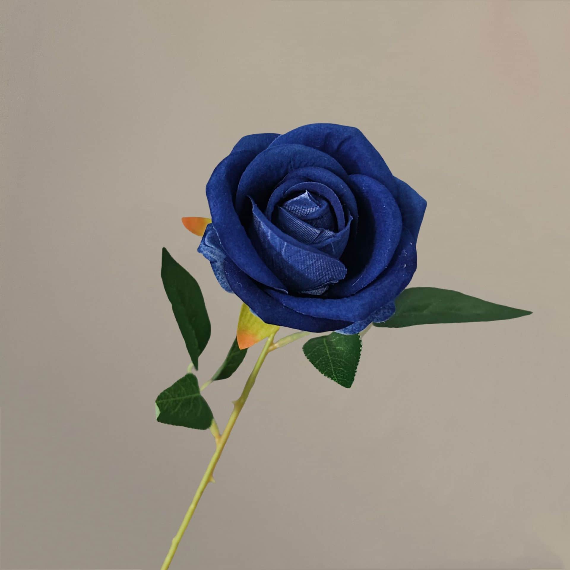 all kinds of wedding artificial rose velet rose bulk rose clearance terracotta wedding flowers