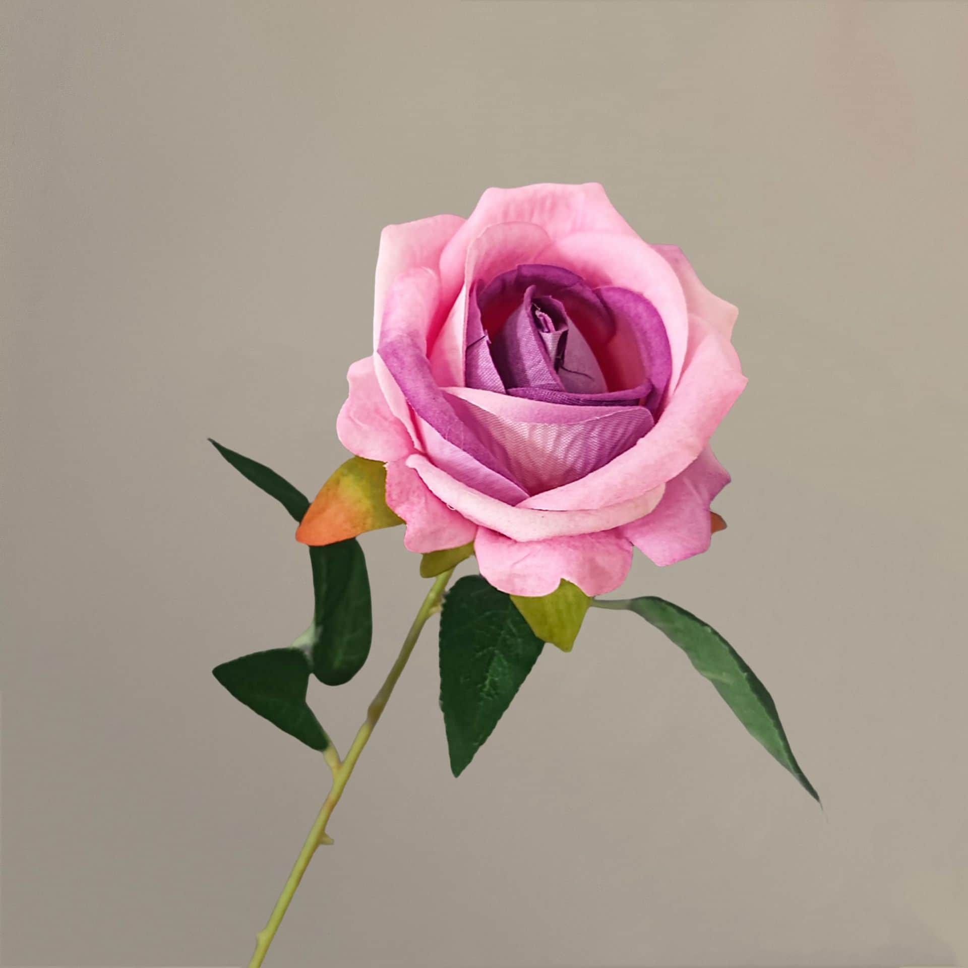 all kinds of wedding artificial rose velet rose bulk rose clearance terracotta wedding flowers