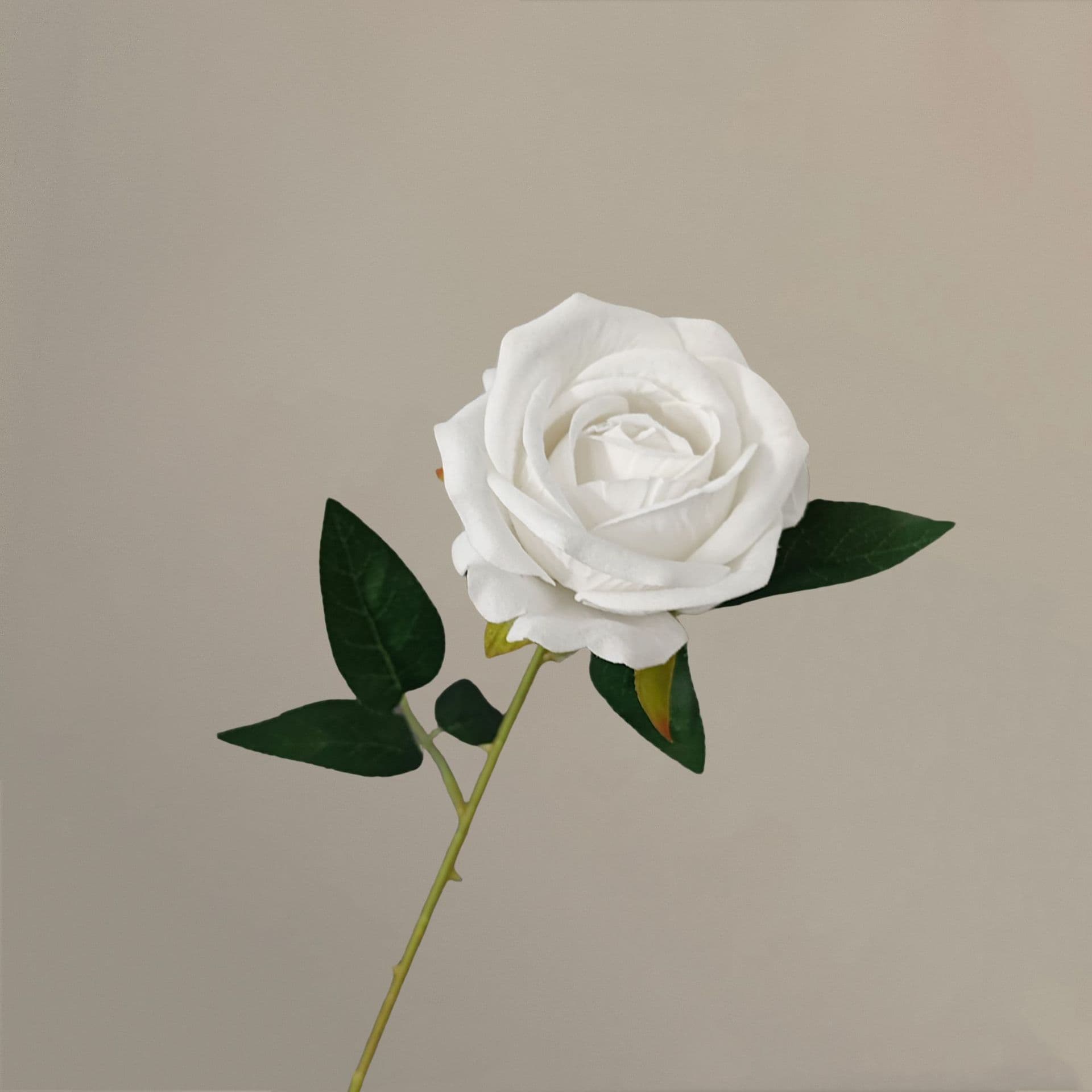 all kinds of wedding artificial rose velet rose bulk rose clearance terracotta wedding flowers