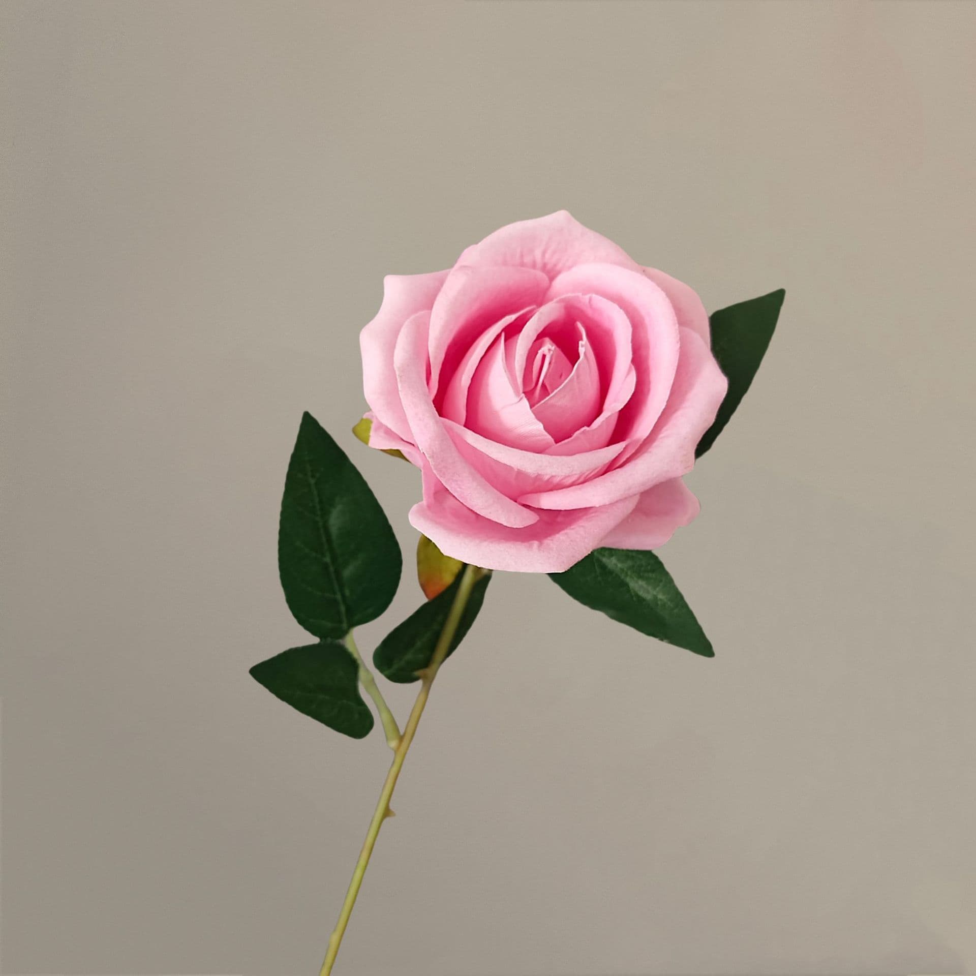 all kinds of wedding artificial rose velet rose bulk rose clearance terracotta wedding flowers