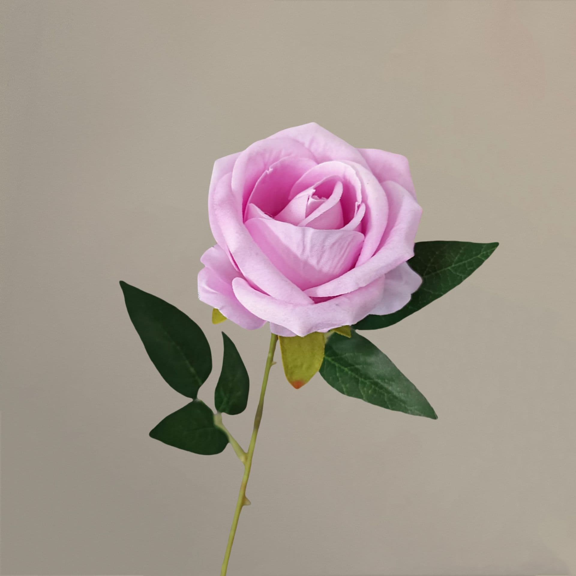 all kinds of wedding artificial rose velet rose bulk rose clearance terracotta wedding flowers