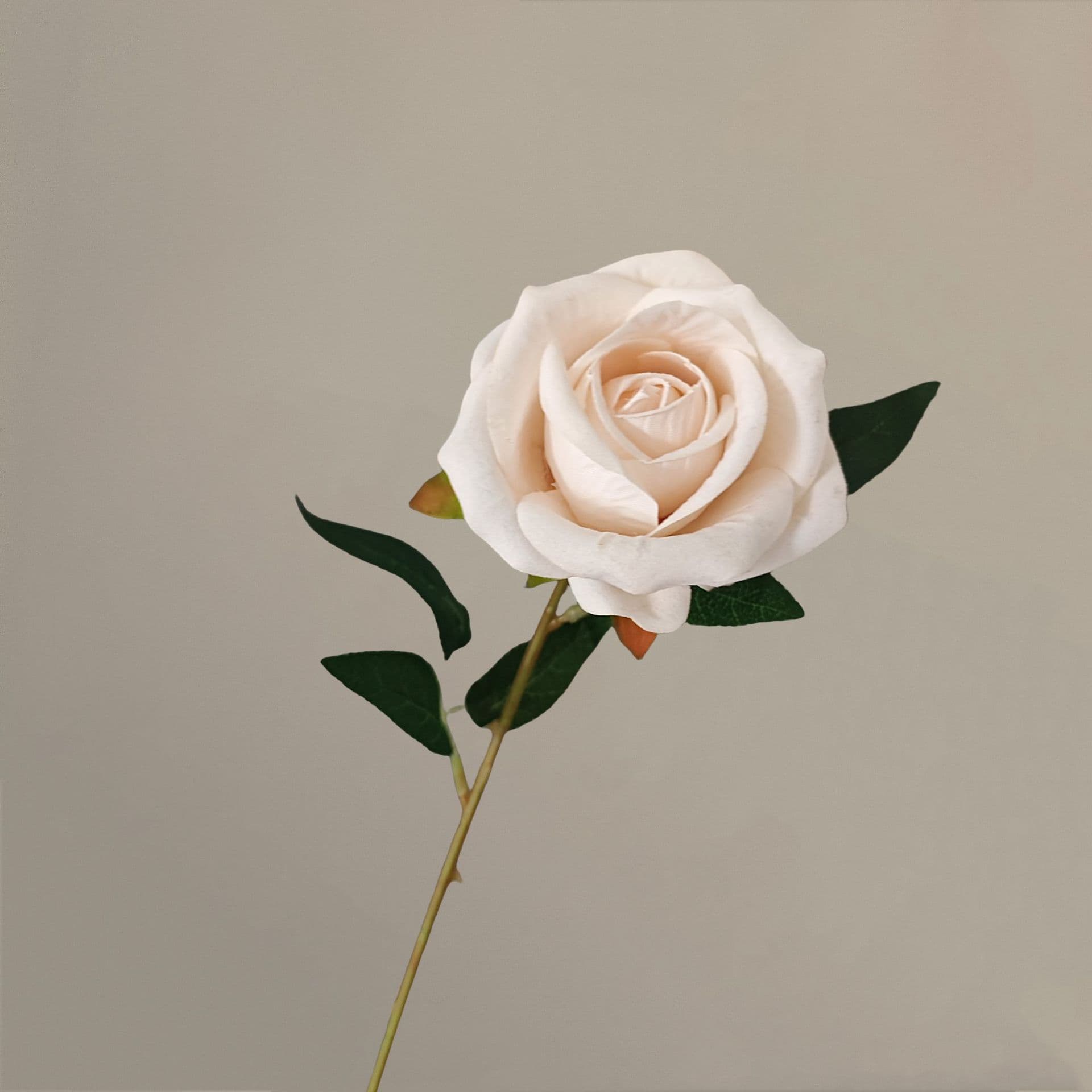 all kinds of wedding artificial rose velet rose bulk rose clearance terracotta wedding flowers