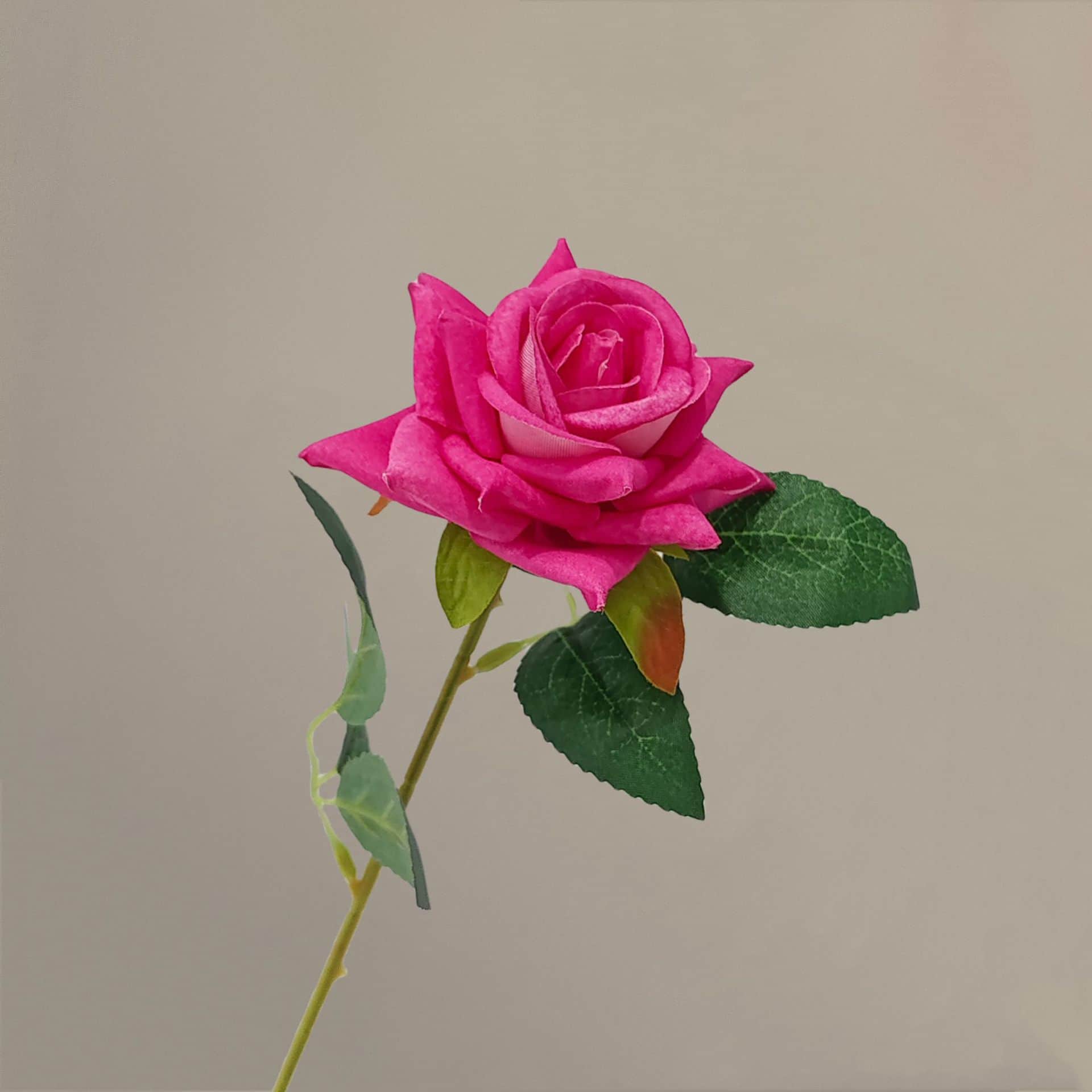 all kinds of wedding artificial rose velet rose bulk rose clearance terracotta wedding flowers