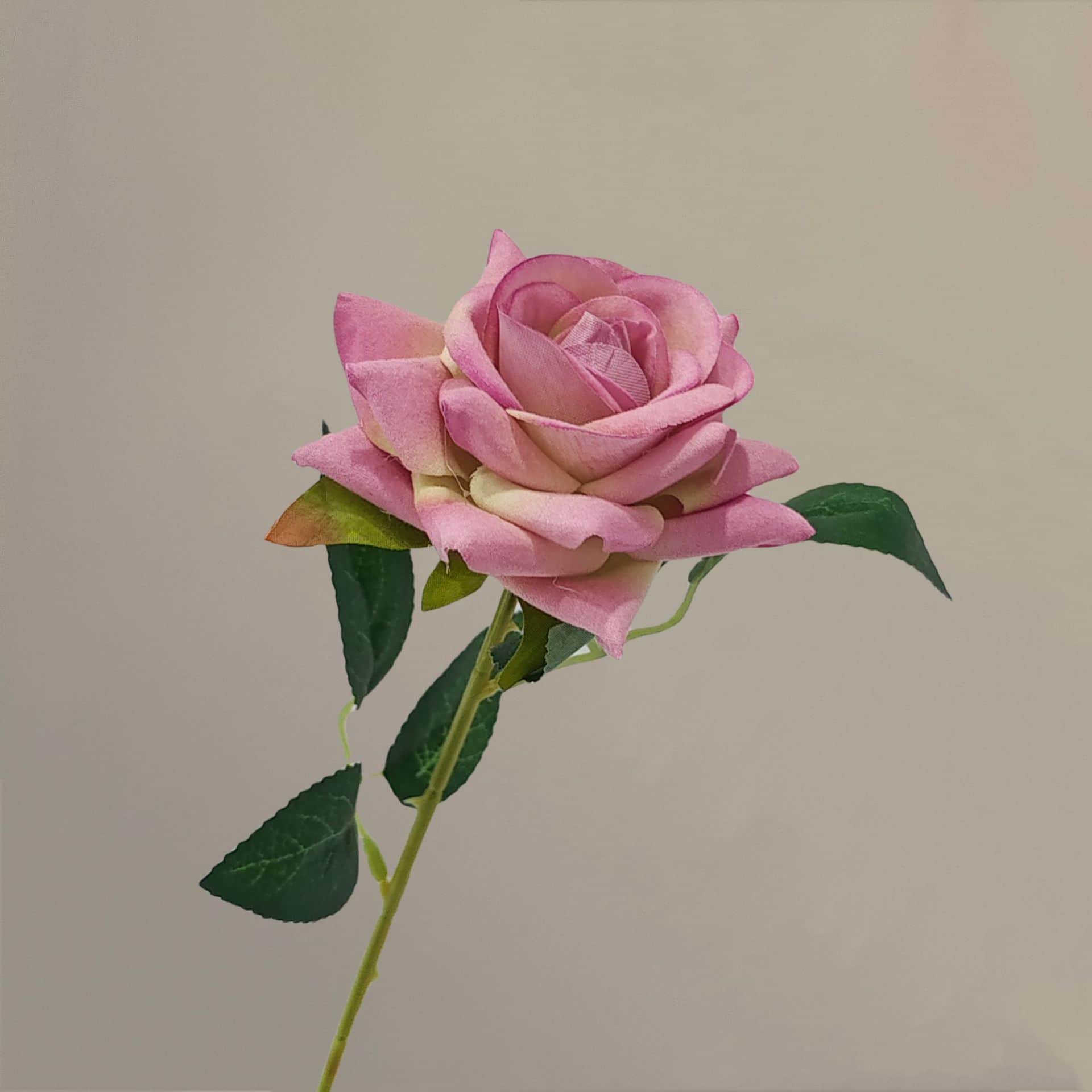 all kinds of wedding artificial rose velet rose bulk rose clearance terracotta wedding flowers