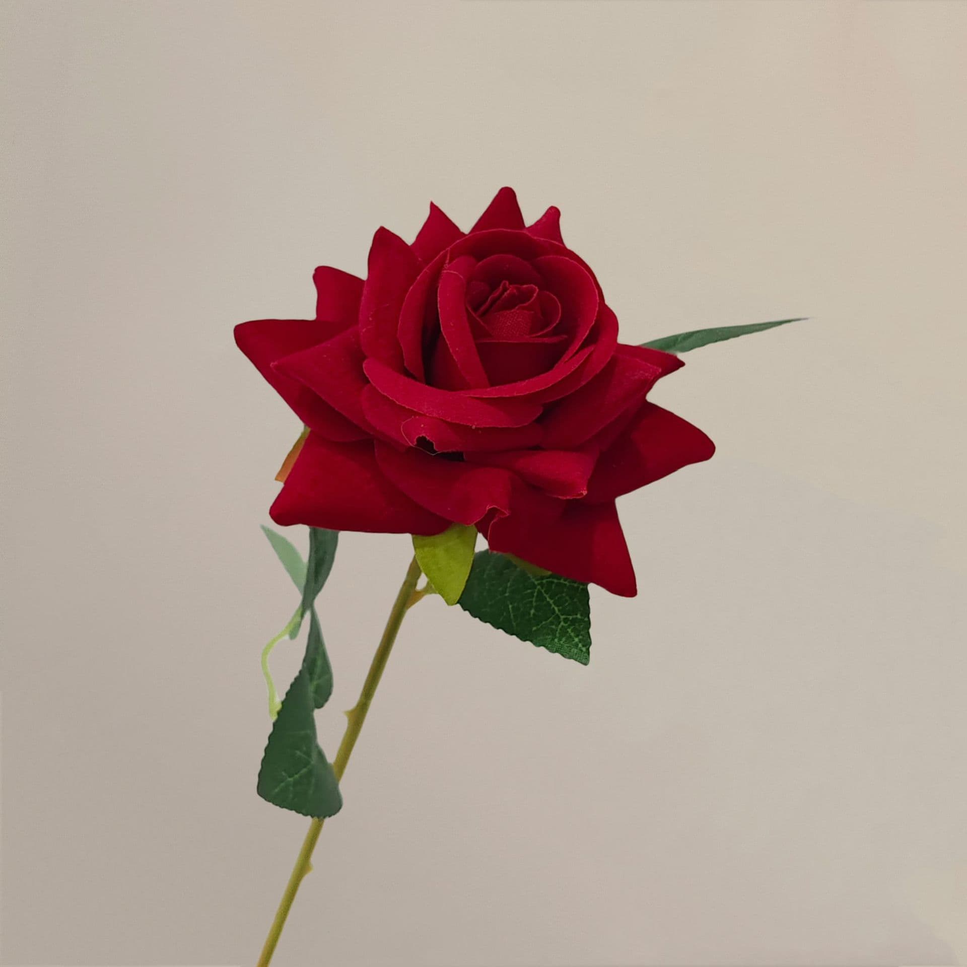 all kinds of wedding artificial rose velet rose bulk rose clearance terracotta wedding flowers