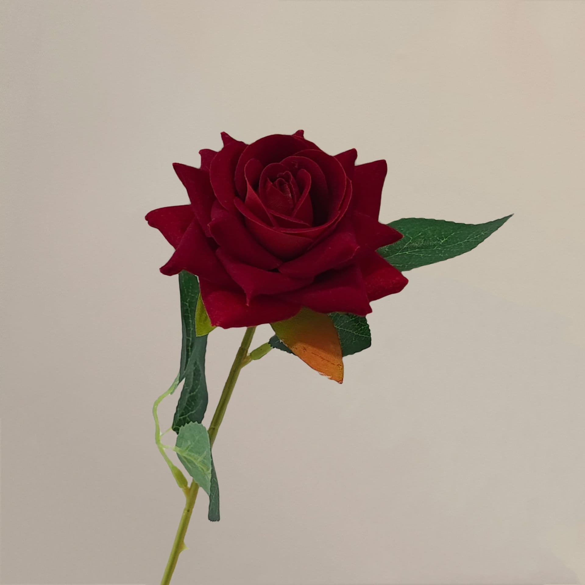 all kinds of wedding artificial rose velet rose bulk rose clearance terracotta wedding flowers