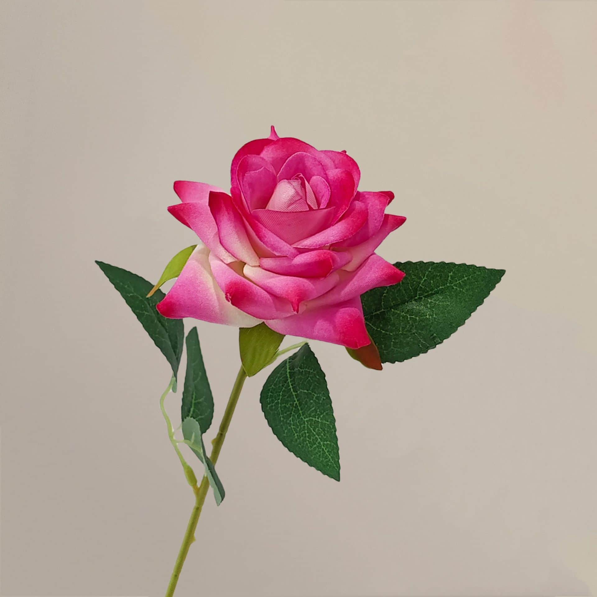 all kinds of wedding artificial rose velet rose bulk rose clearance terracotta wedding flowers