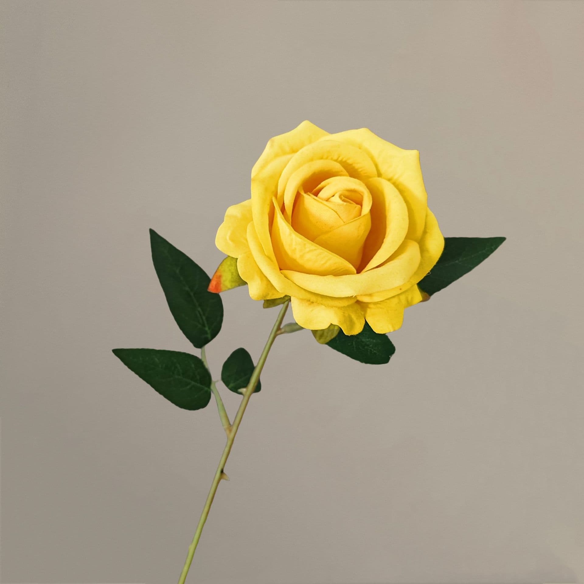 all kinds of wedding artificial rose velet rose bulk rose clearance terracotta wedding flowers