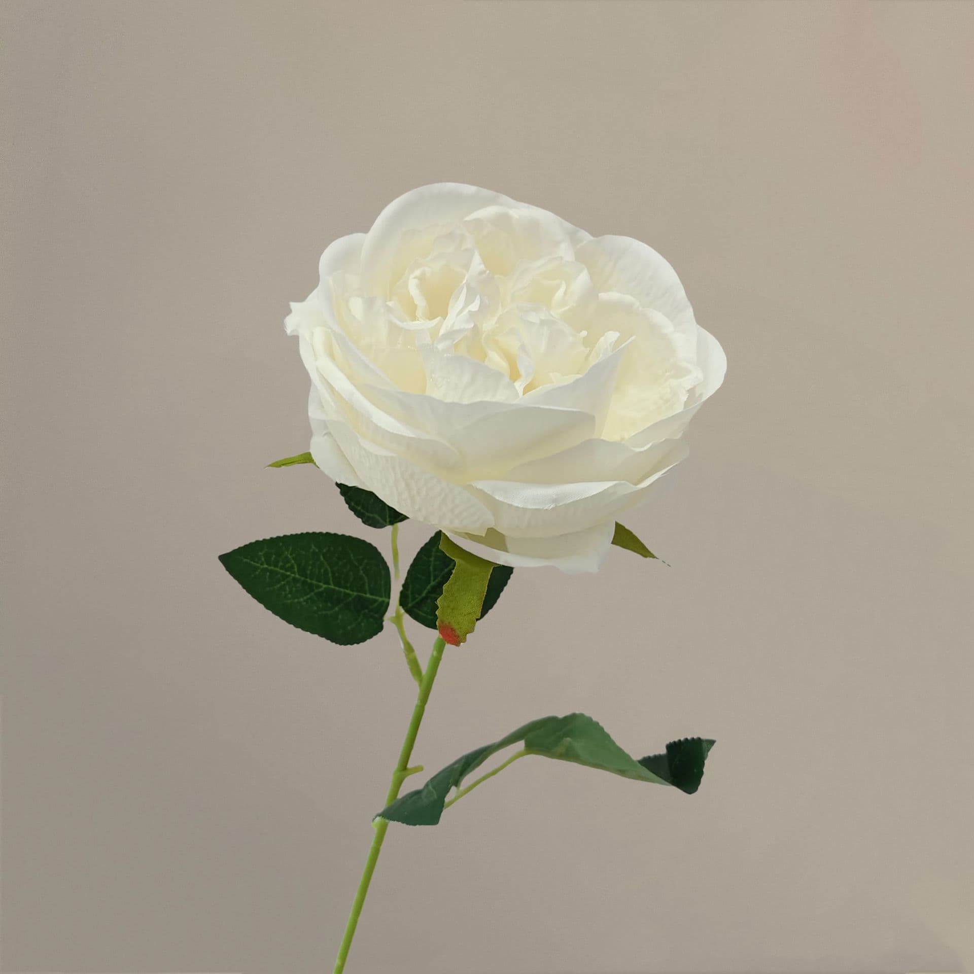 all kinds of wedding artificial rose velet rose bulk rose clearance terracotta wedding flowers