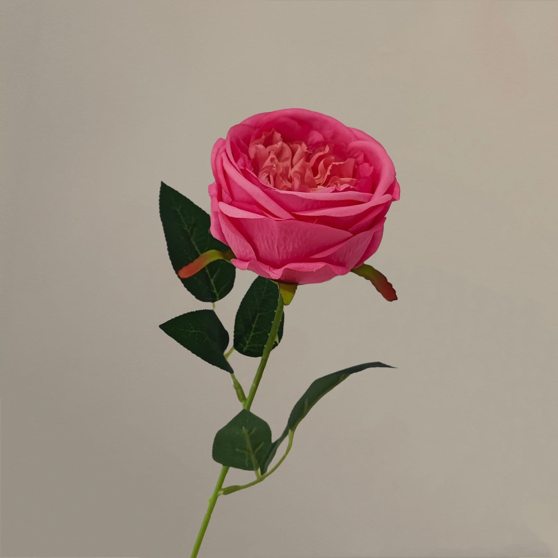 all kinds of wedding artificial rose velet rose bulk rose clearance terracotta wedding flowers