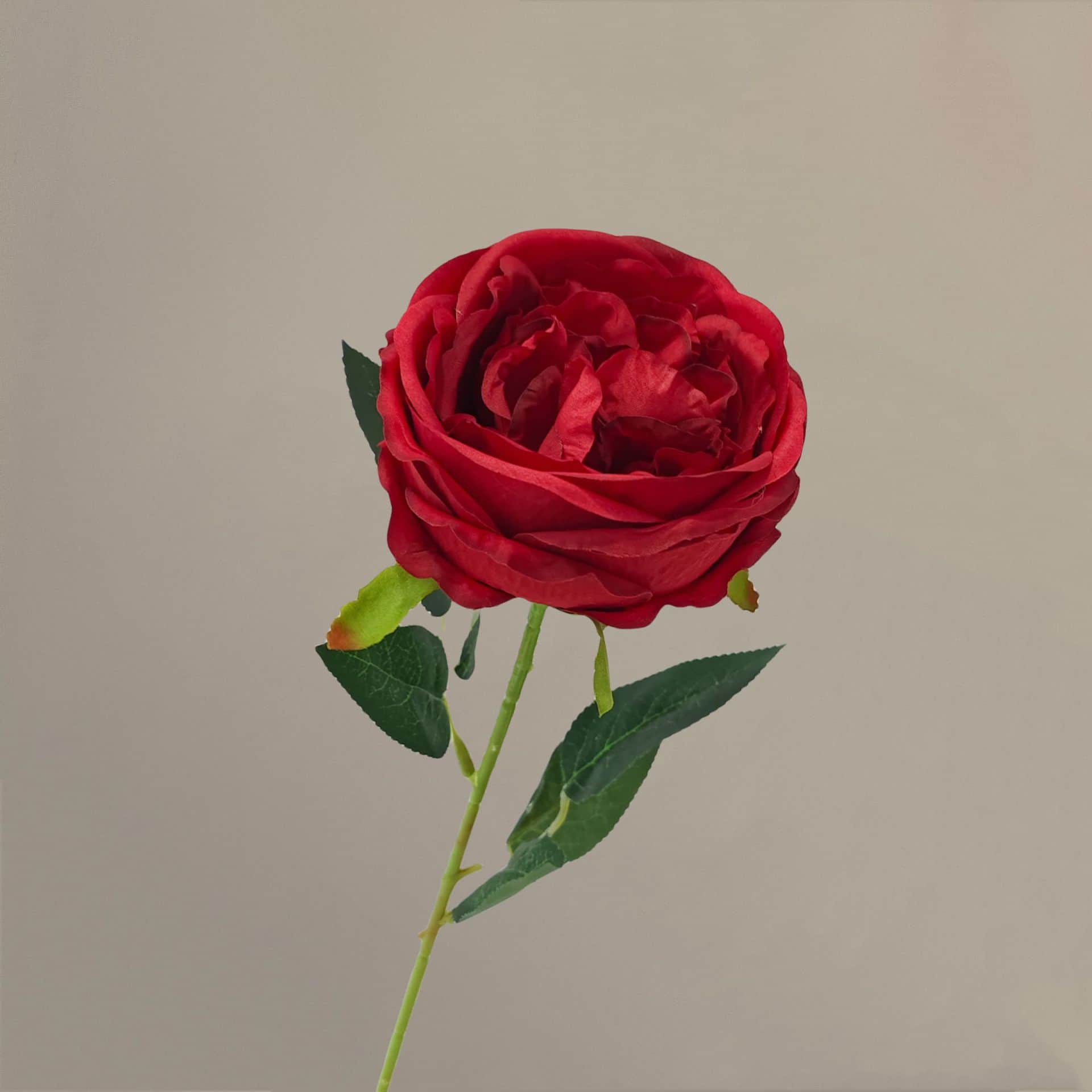 all kinds of wedding artificial rose velet rose bulk rose clearance terracotta wedding flowers