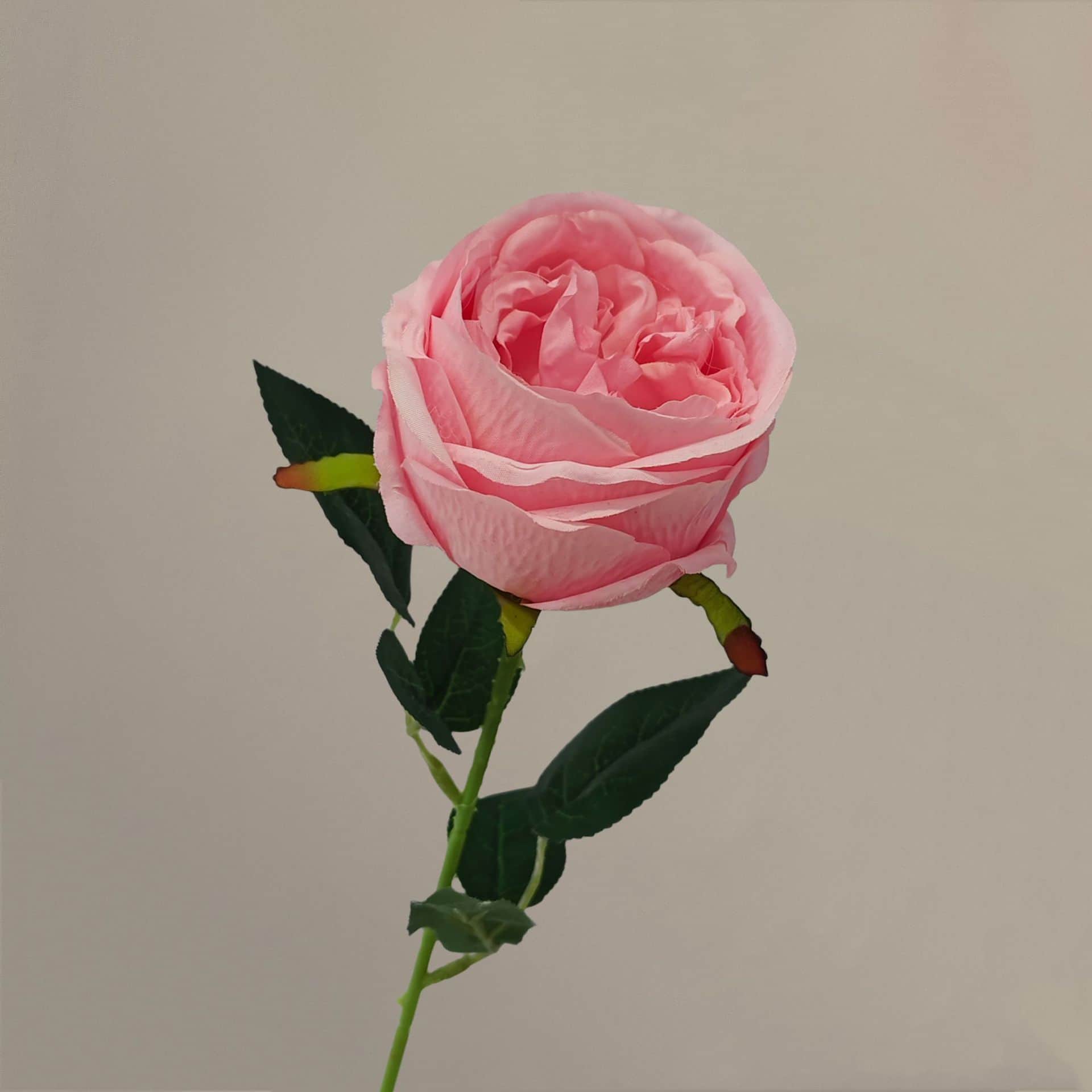 all kinds of wedding artificial rose velet rose bulk rose clearance terracotta wedding flowers