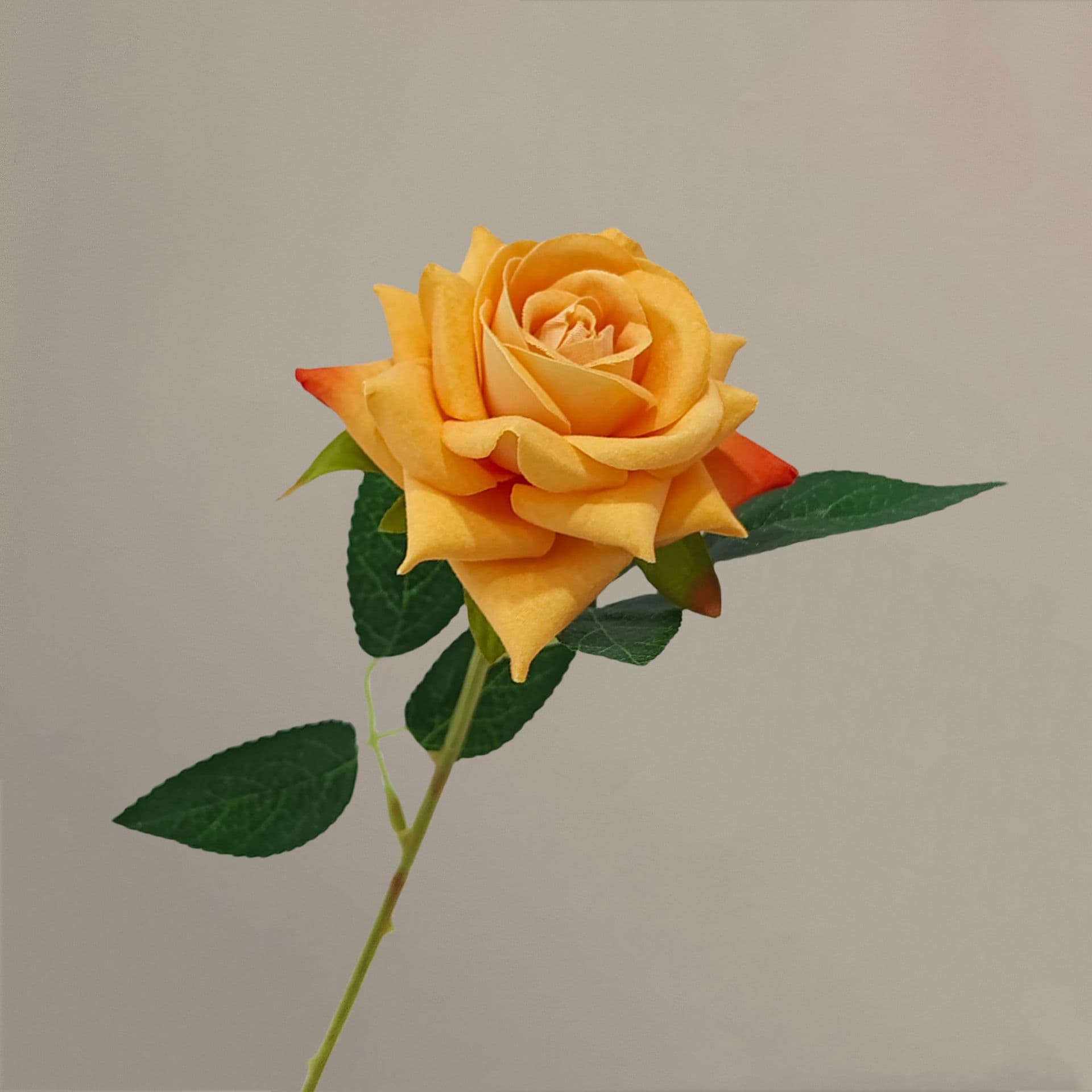 all kinds of wedding artificial rose velet rose bulk rose clearance terracotta wedding flowers