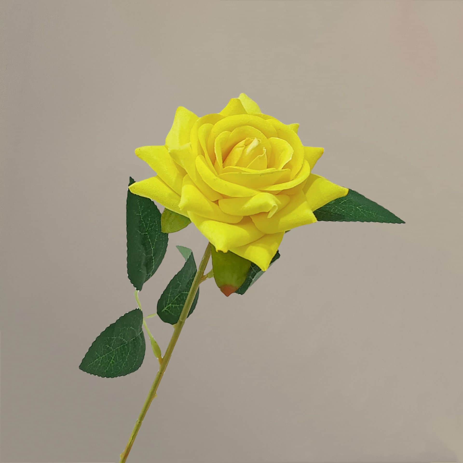 all kinds of wedding artificial rose velet rose bulk rose clearance terracotta wedding flowers