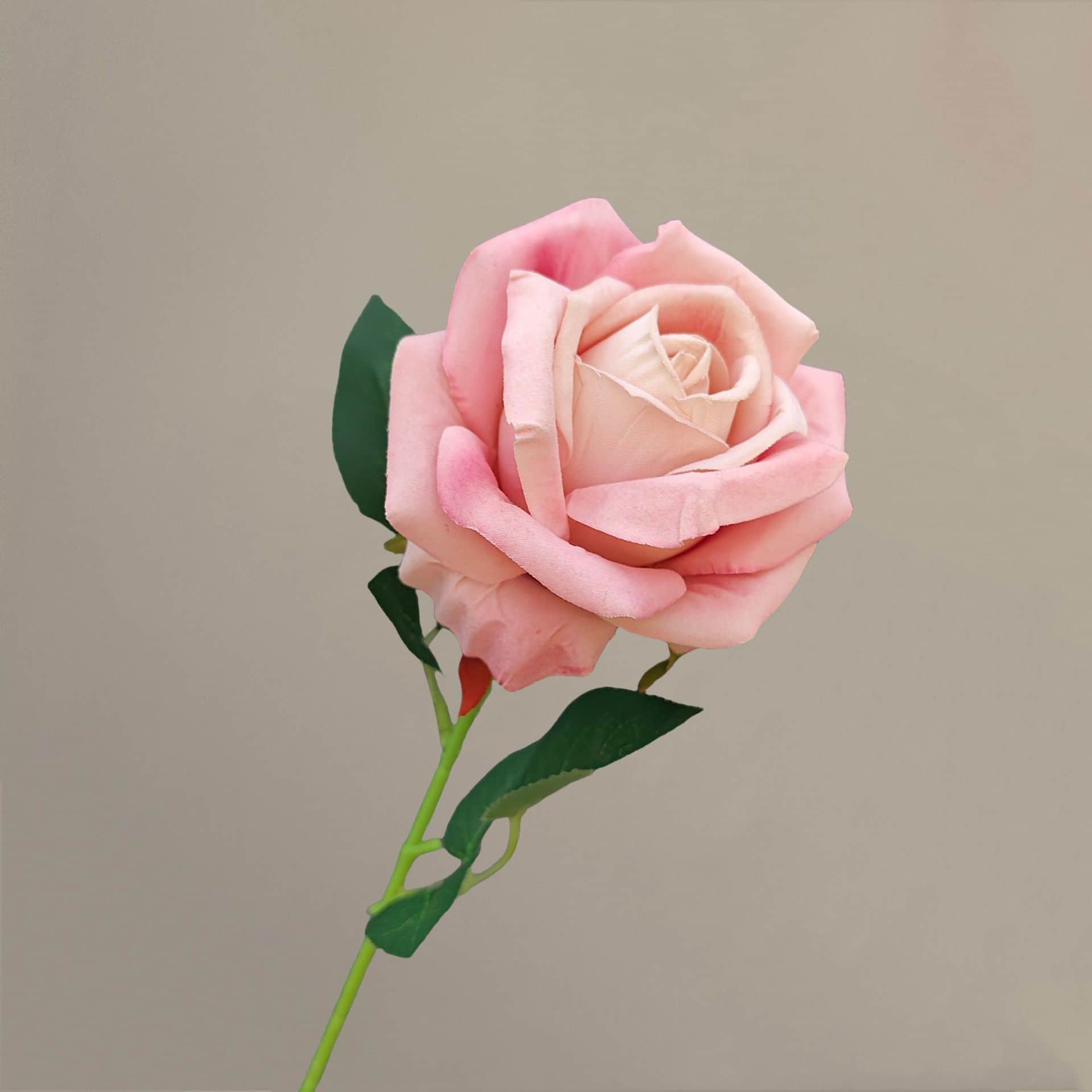 all kinds of wedding artificial rose velet rose bulk rose clearance terracotta wedding flowers