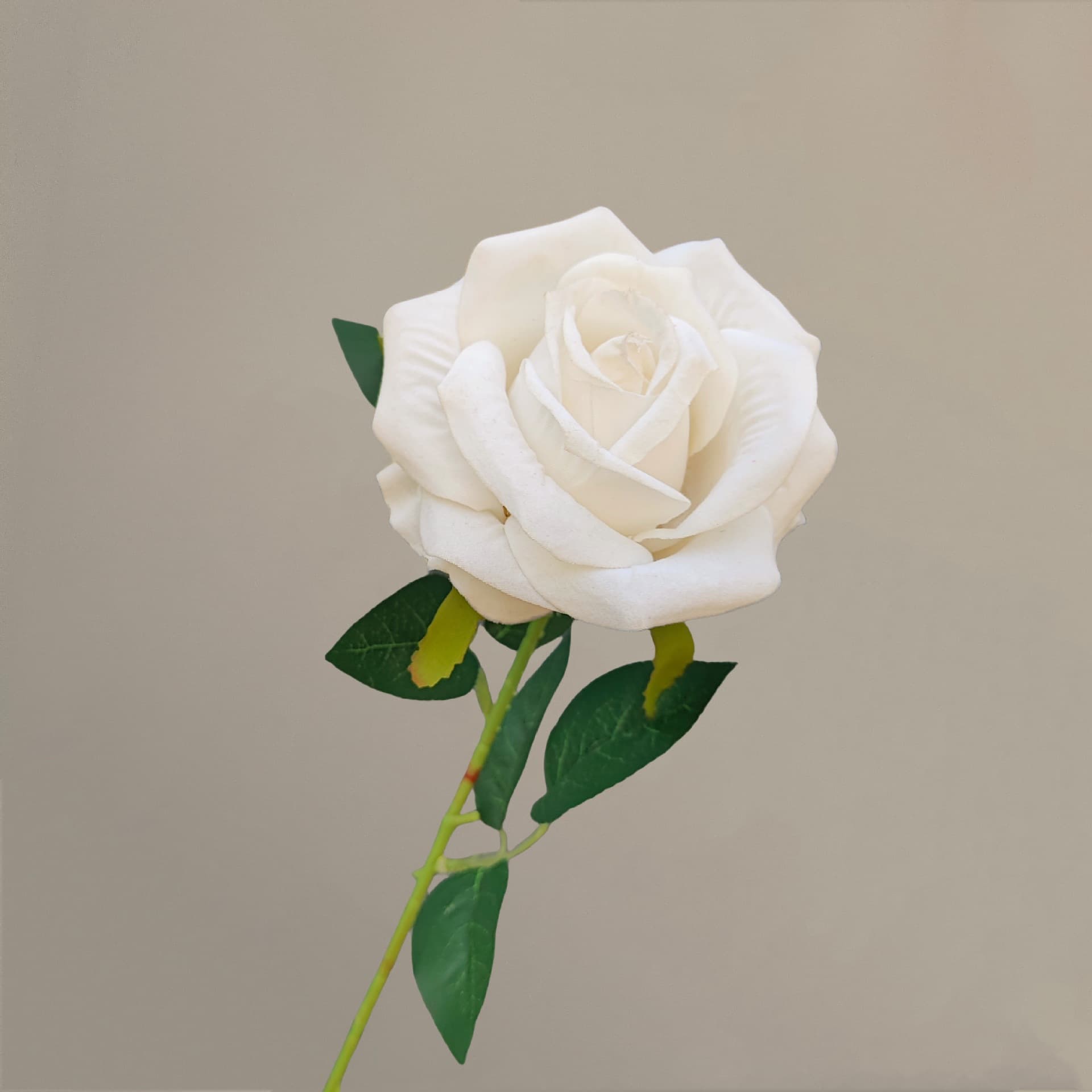 all kinds of wedding artificial rose velet rose bulk rose clearance terracotta wedding flowers
