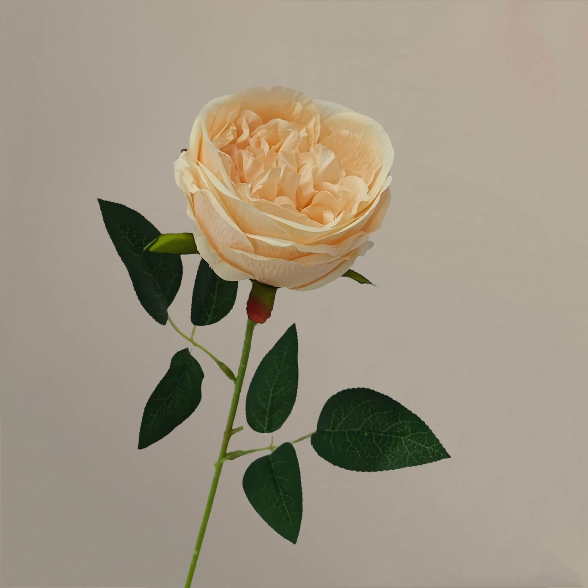 all kinds of wedding artificial rose velet rose bulk rose clearance terracotta wedding flowers