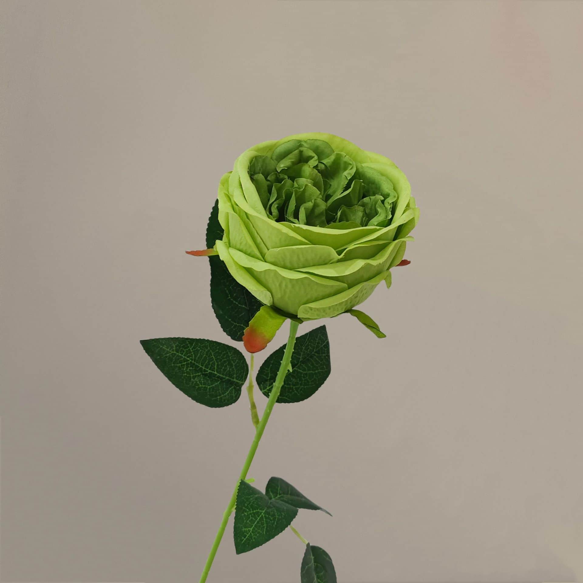 all kinds of wedding artificial rose velet rose bulk rose clearance terracotta wedding flowers