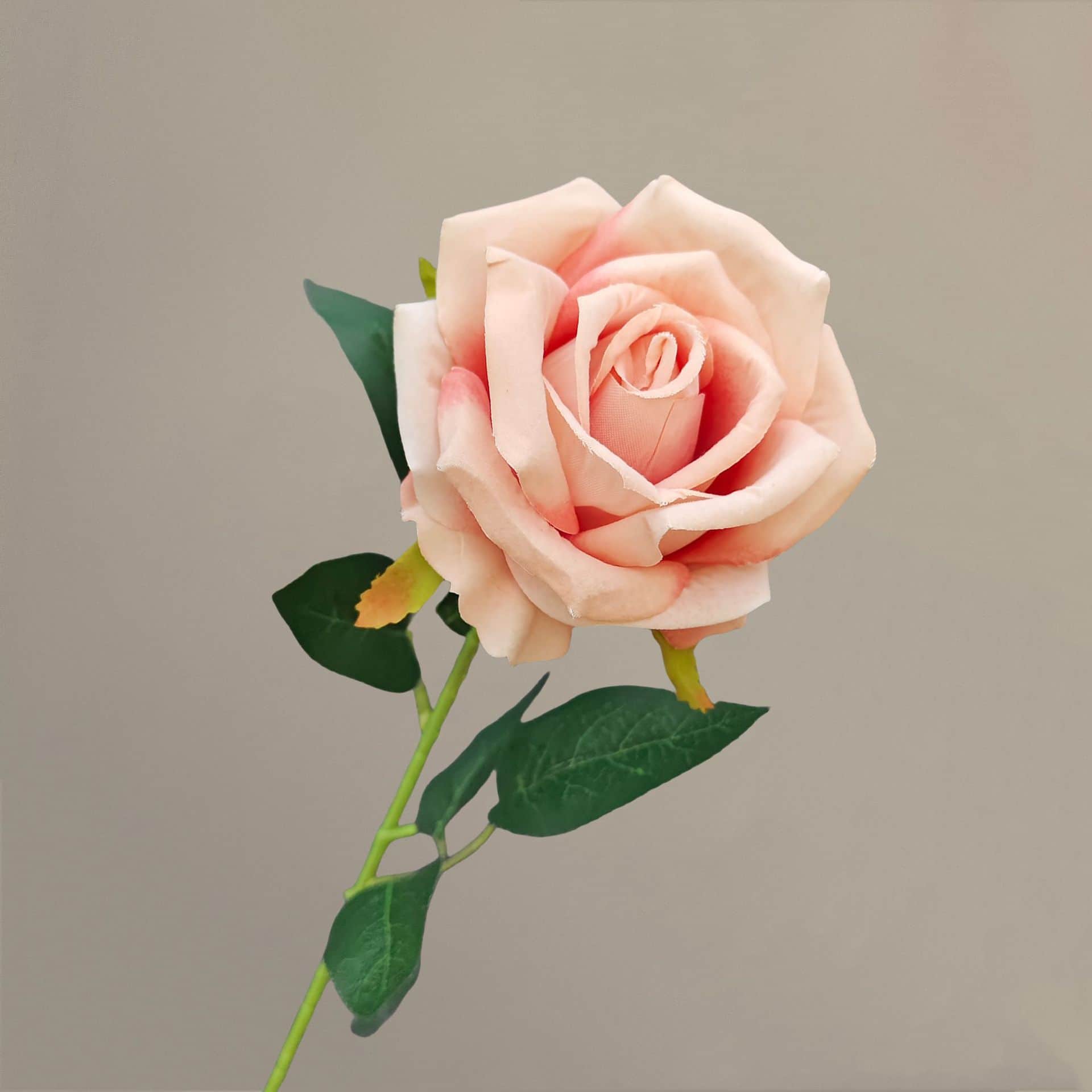 all kinds of wedding artificial rose velet rose bulk rose clearance terracotta wedding flowers
