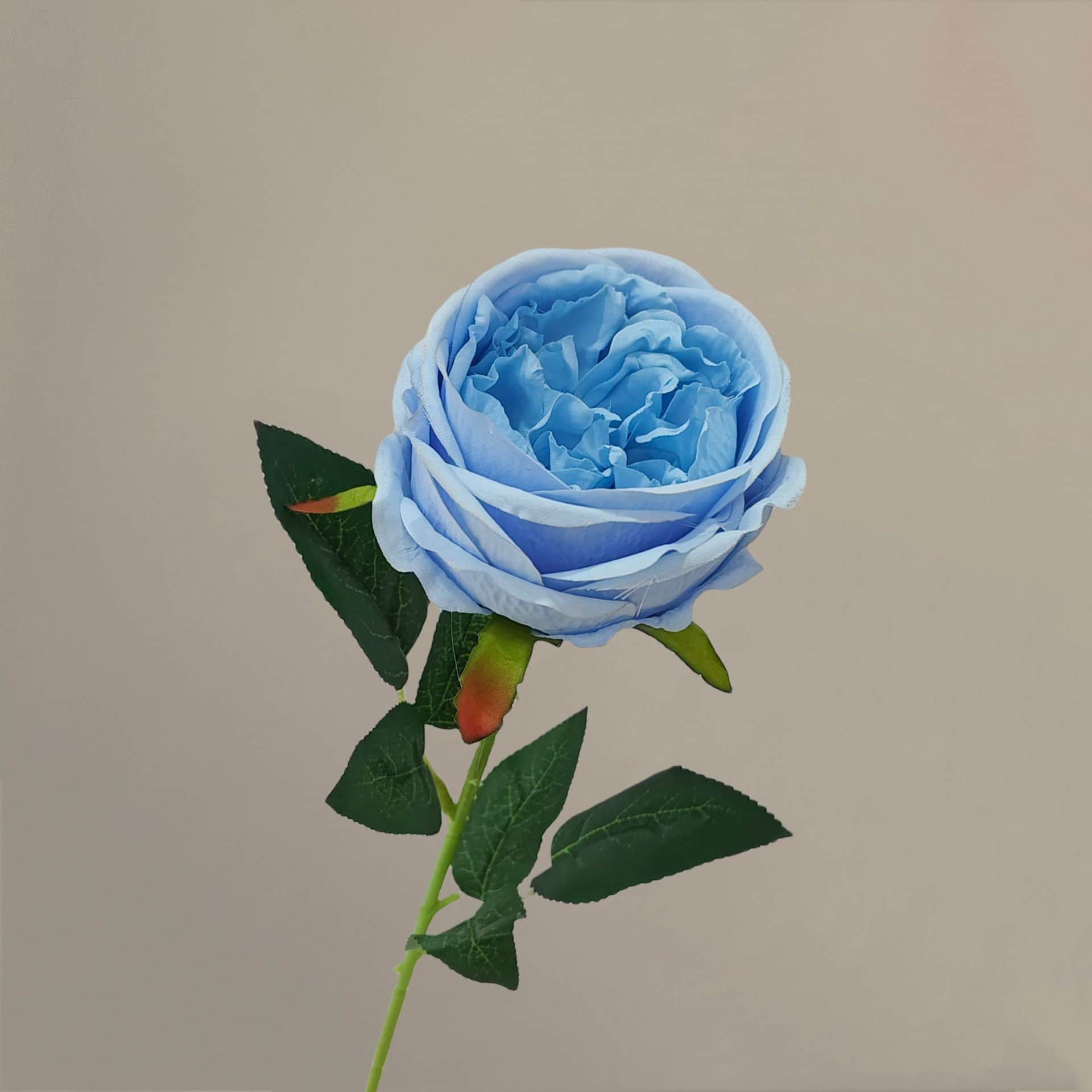 all kinds of wedding artificial rose velet rose bulk rose clearance terracotta wedding flowers