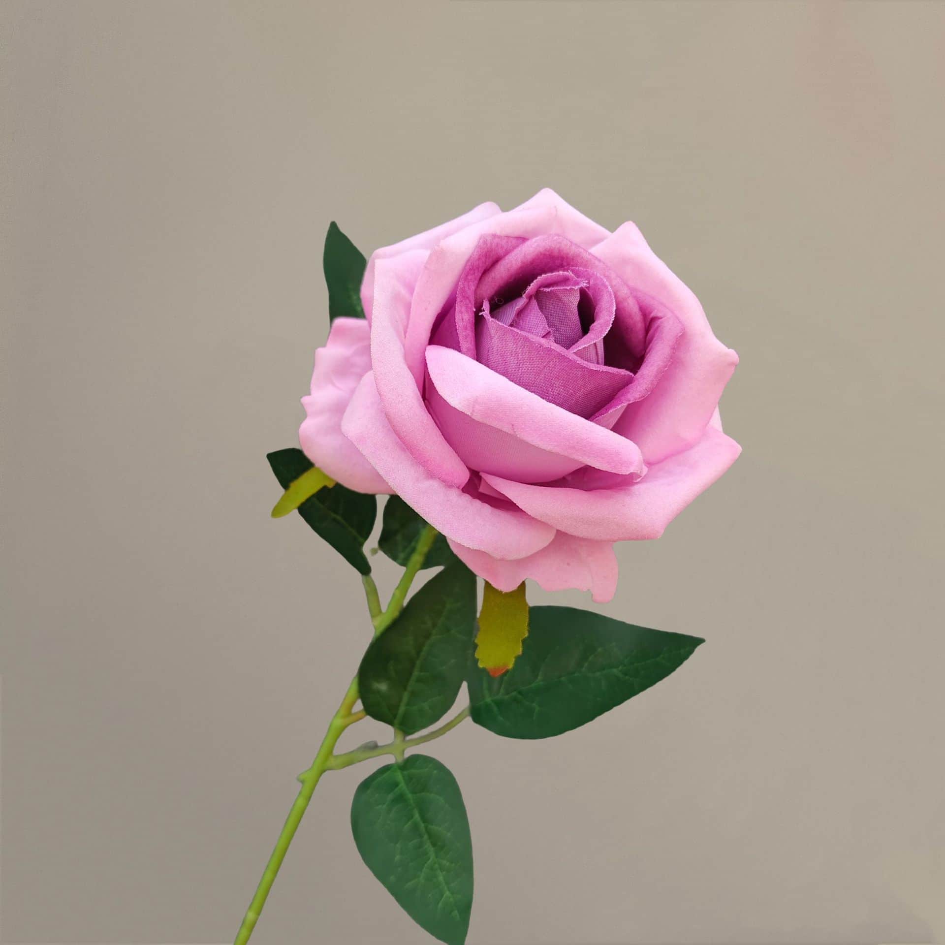 all kinds of wedding artificial rose velet rose bulk rose clearance terracotta wedding flowers