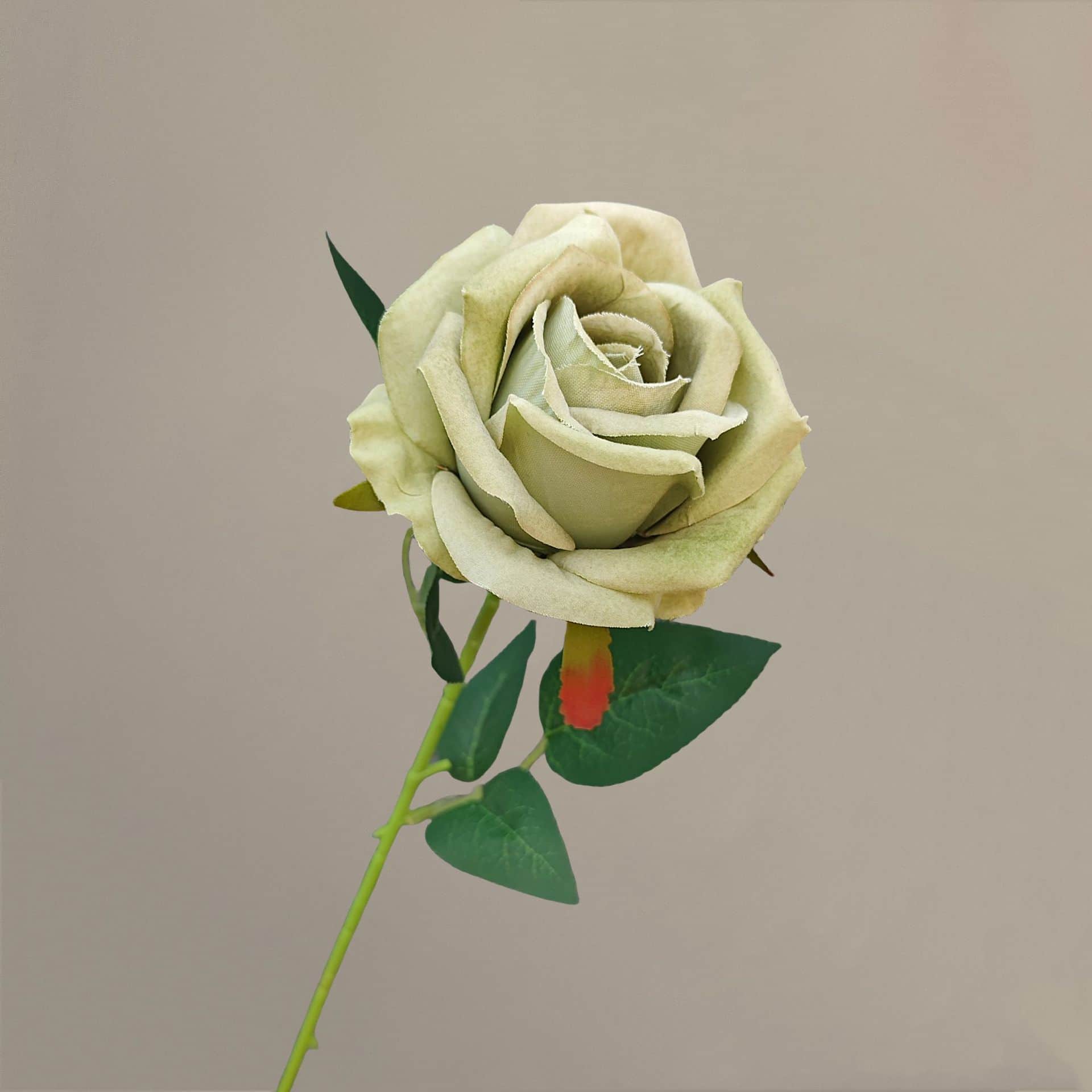 all kinds of wedding artificial rose velet rose bulk rose clearance terracotta wedding flowers