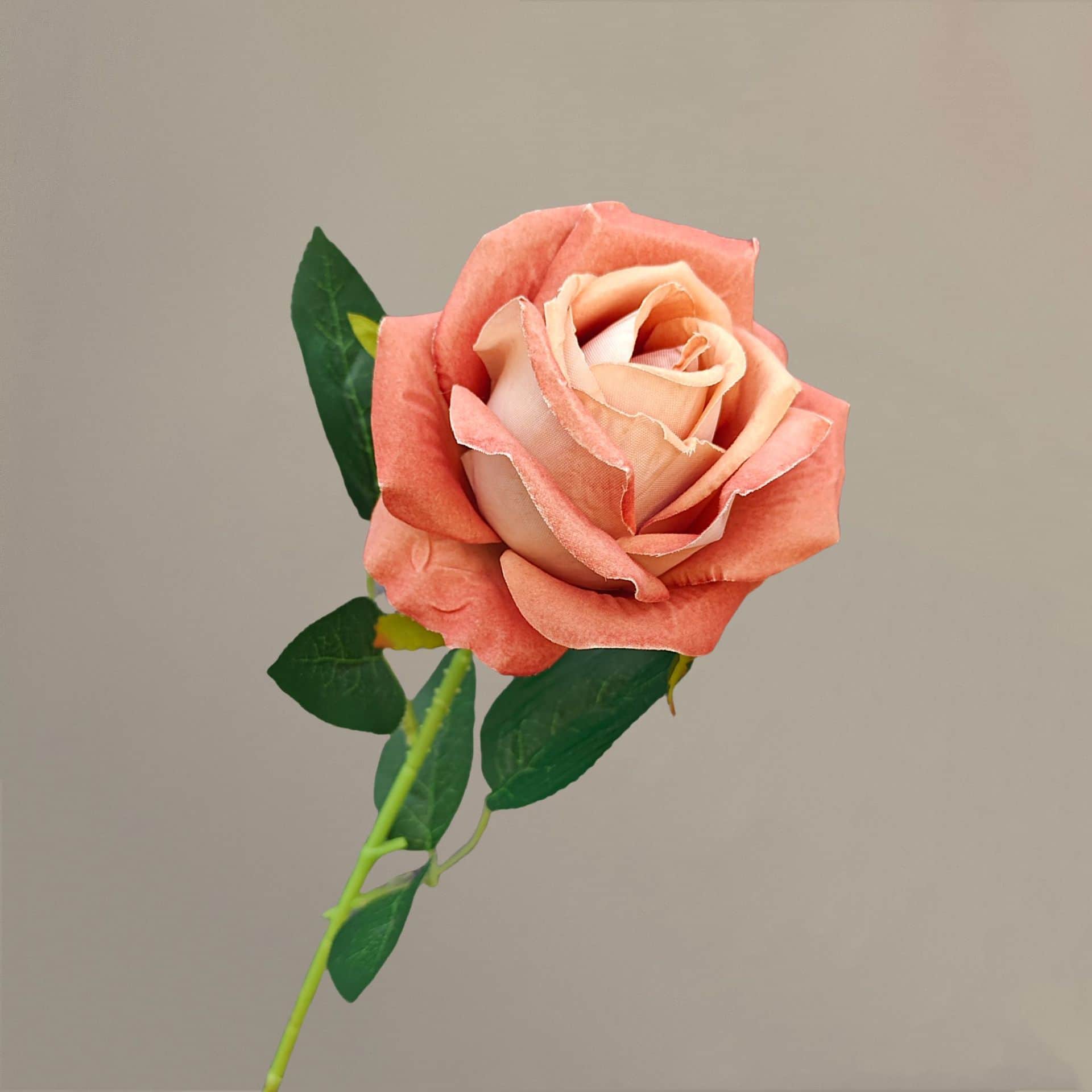 all kinds of wedding artificial rose velet rose bulk rose clearance terracotta wedding flowers
