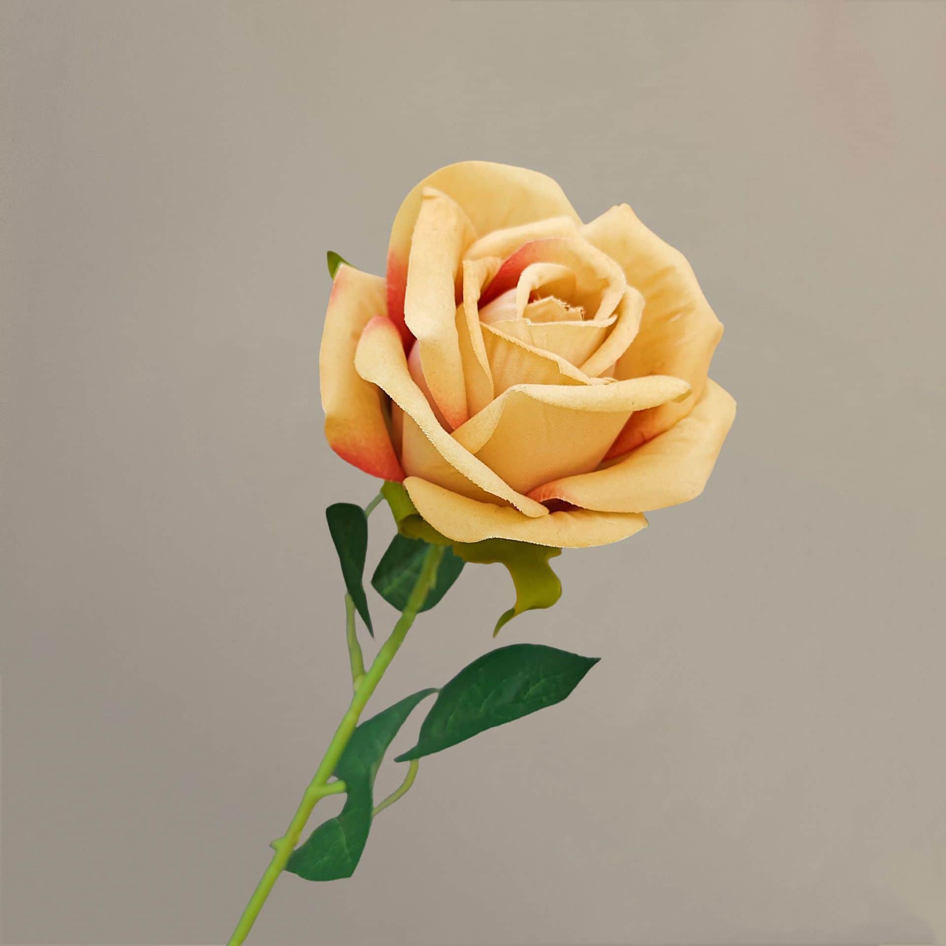 all kinds of wedding artificial rose velet rose bulk rose clearance terracotta wedding flowers